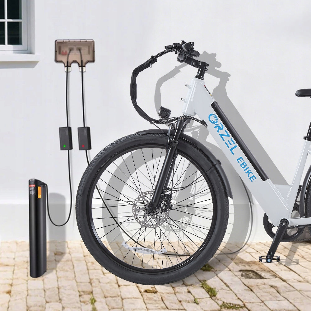 Electric bicycles ORZEL C29 250W 20Ah 25KM/H 120HP Hydraulic brakes Brand ORZELEBIKE