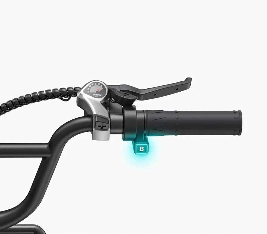 Electric bike Engwe L20 Boost 250 W black wheel 20" Fattbike Model L20 250W 48V 13AH 25KM/H PL