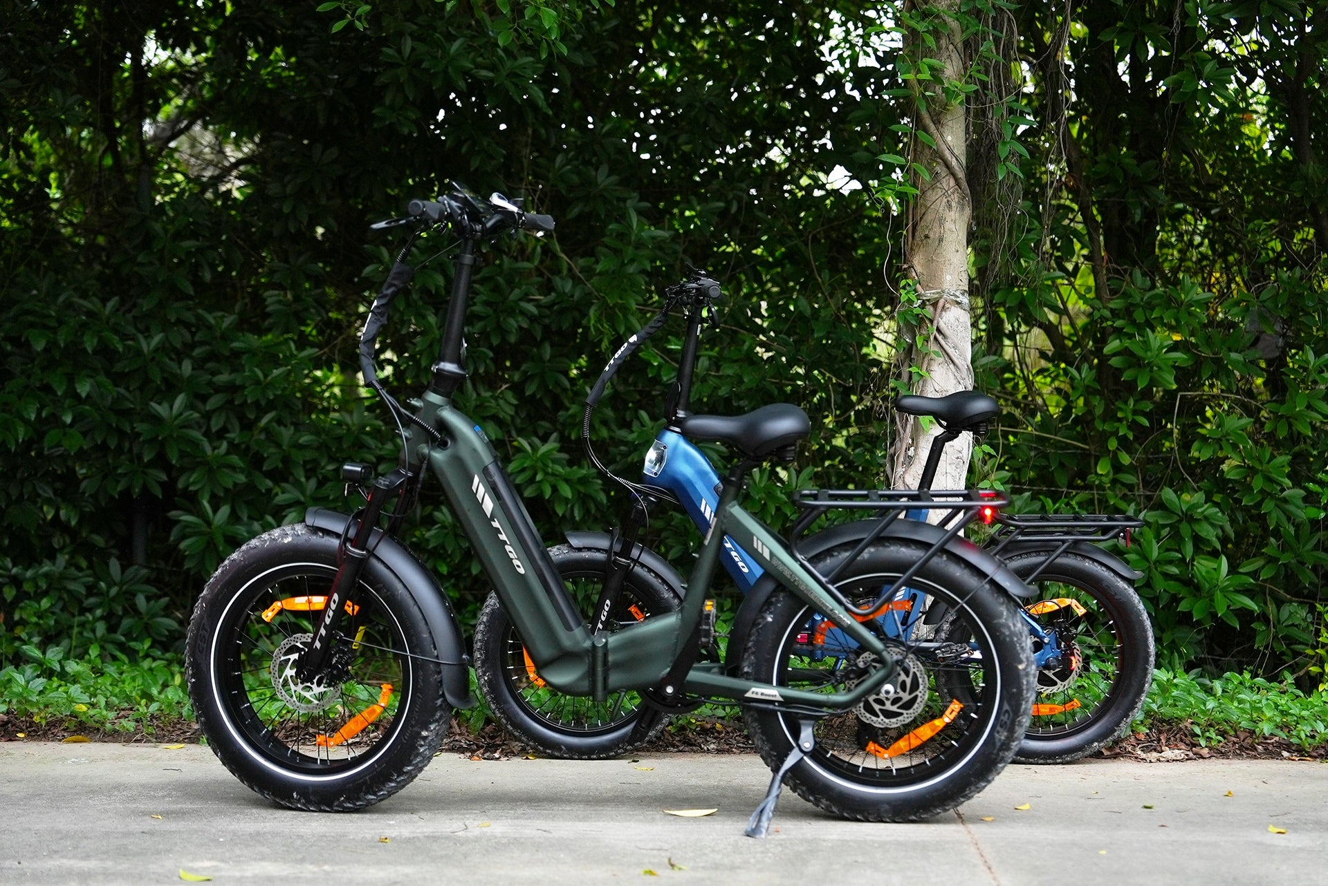 Electric bike TTGO F6 Boost 250W 48V 18AH 25km/h 150HP Oil brake Brand no brand