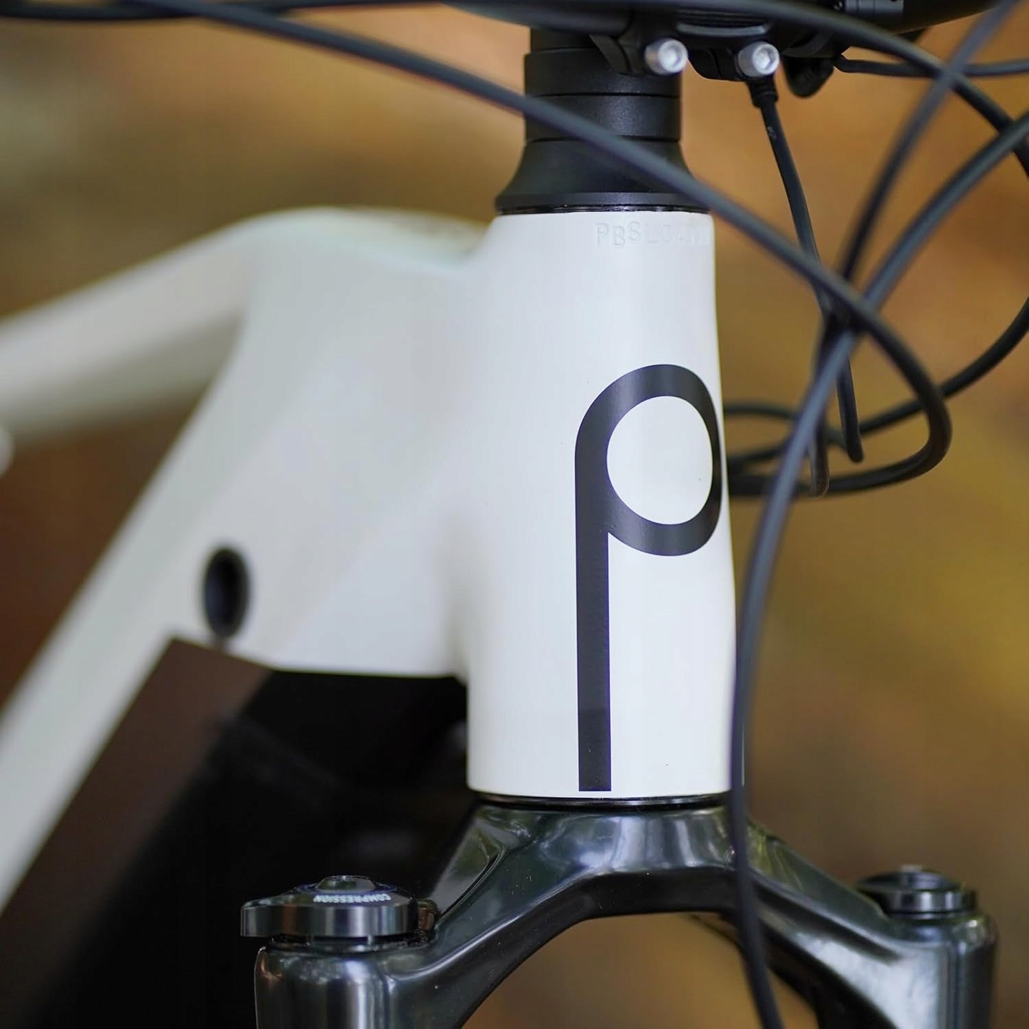 Electric mountain bike Prophete Dice 5.0 E-MTB 27,5" frame 48 cm Frame material aluminum
