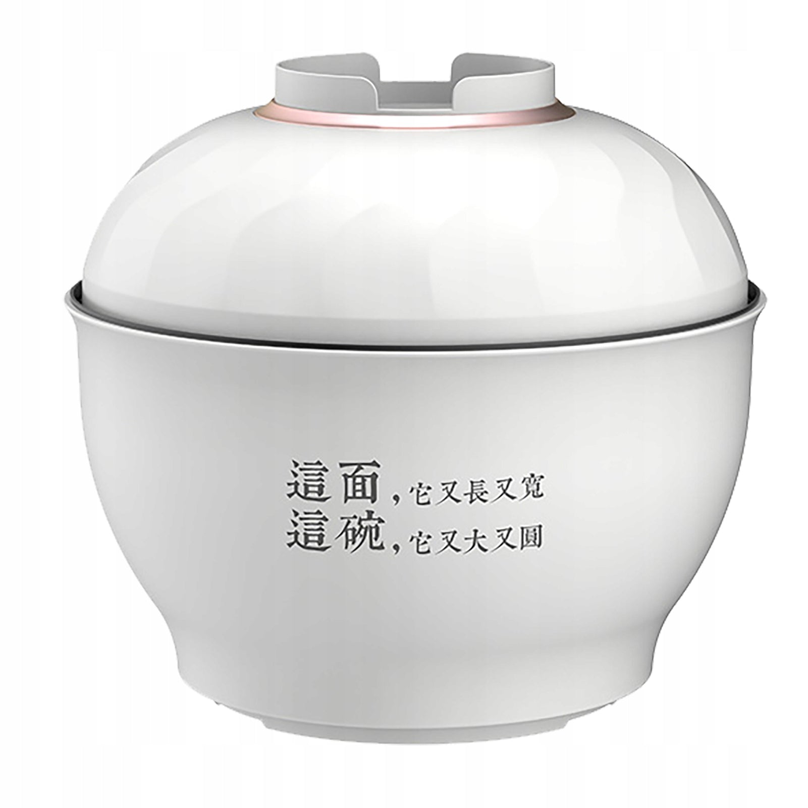 Electric pasta pot multifunctional fast heating mini 3N Brand no brand