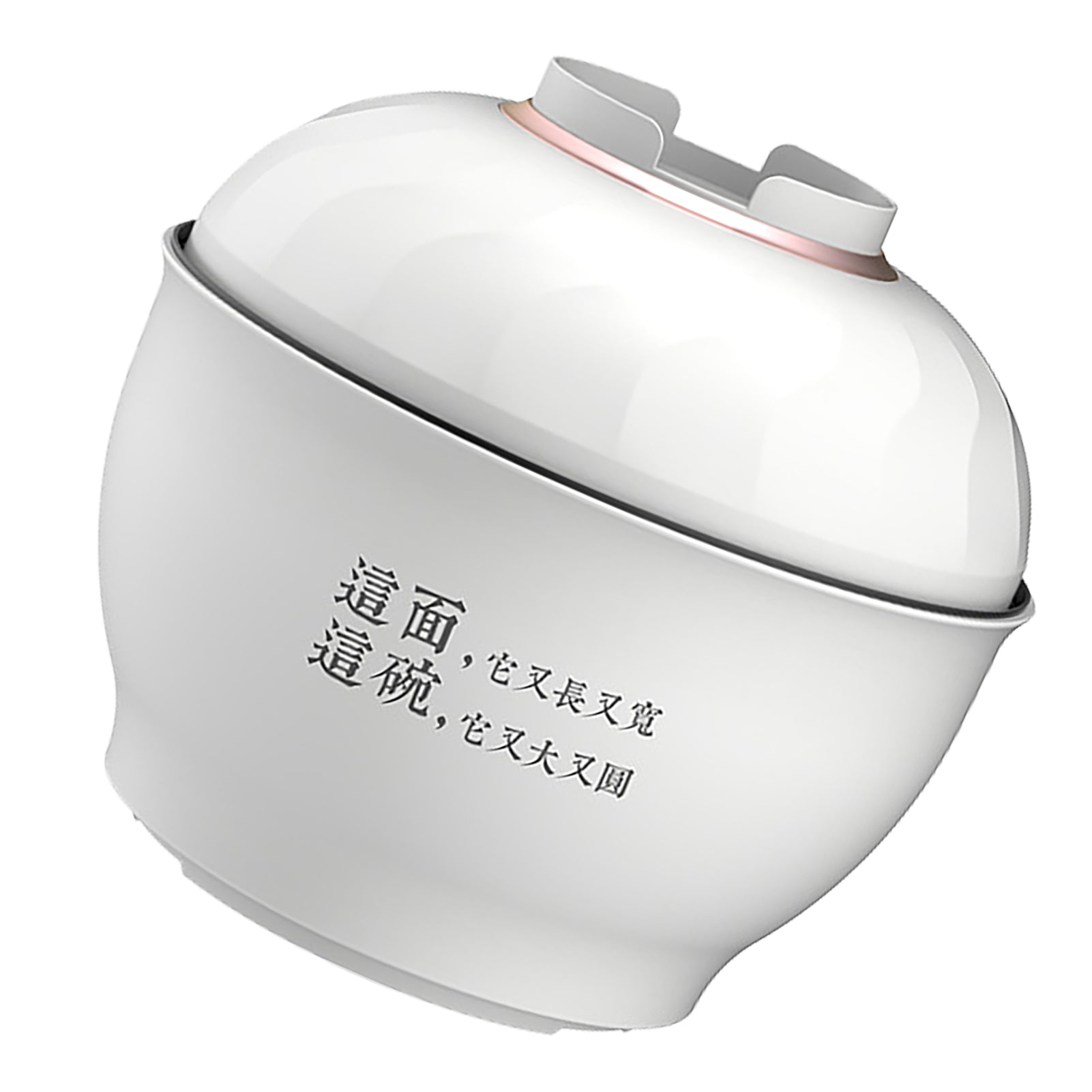 Electric pasta pot multifunctional fast heating mini 3N Dominant color multicolor