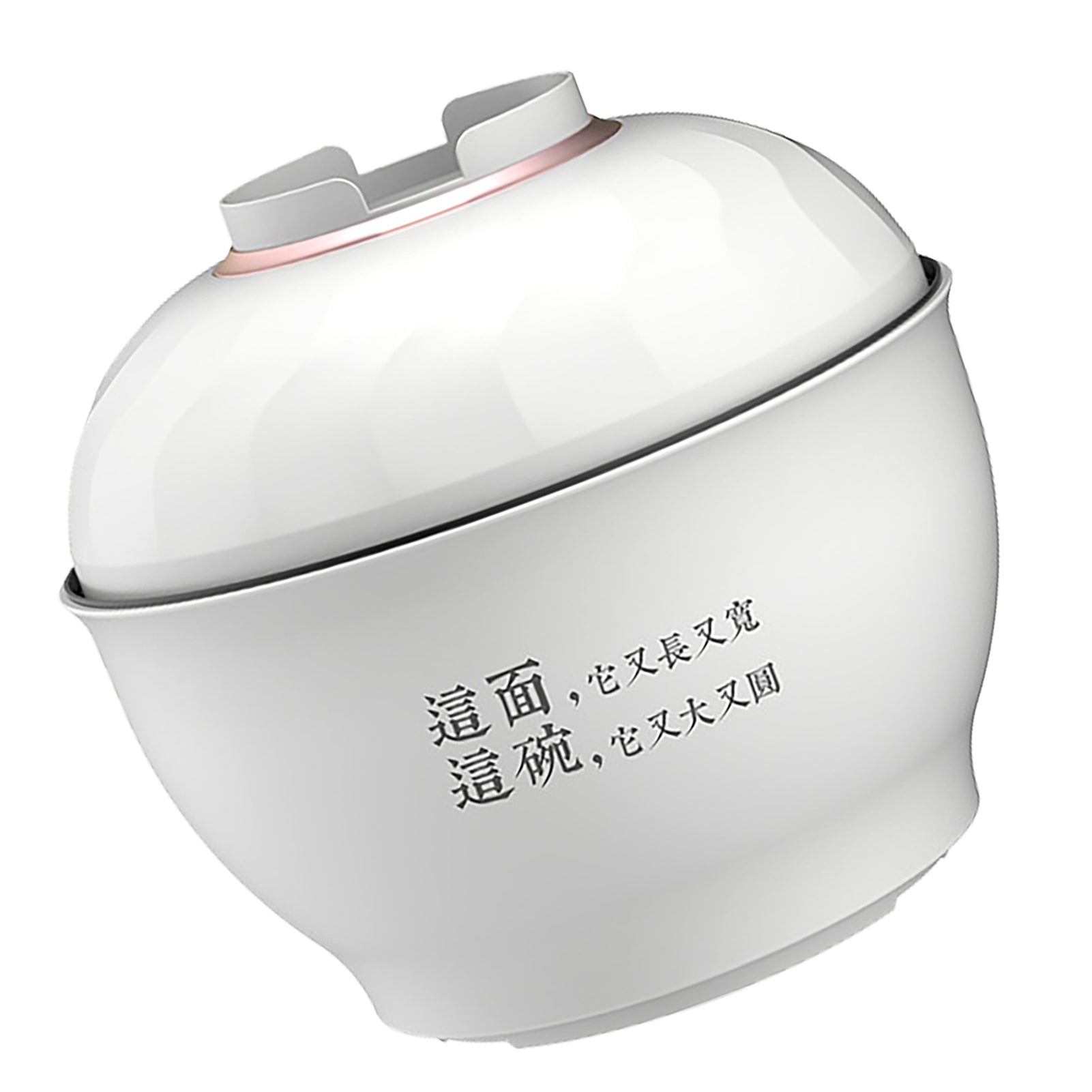 Electric pasta pot multifunctional fast heating mini 3N
