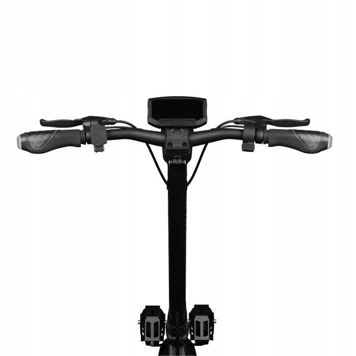 Electric scooter Ruptor R6 V4 Copper motors 2x800W 20Ah+NFC+Application Engine power 2000 W