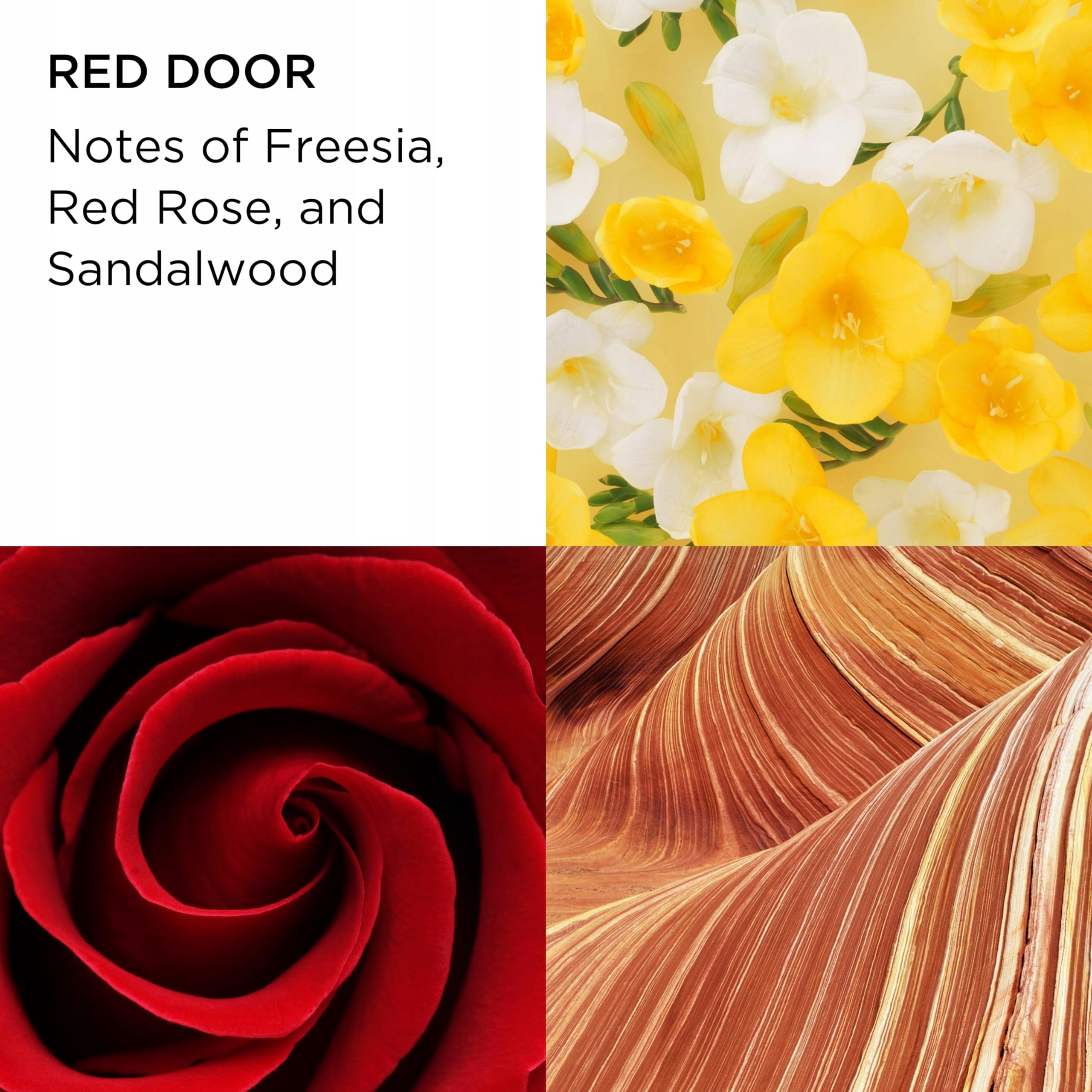 Elizabeth Arden RED DOOR Eau de Toilette 100ml 3-piece Gift Set, floral woody Manufacturer code 0001