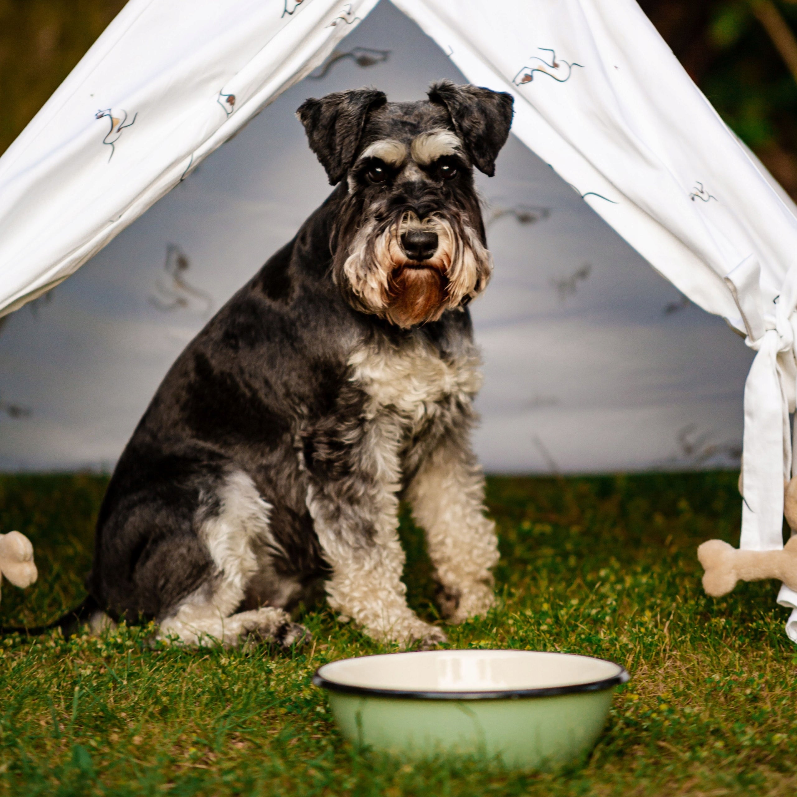 Enamel Bowl for Dogs for Food and Water 25 cm Material other material