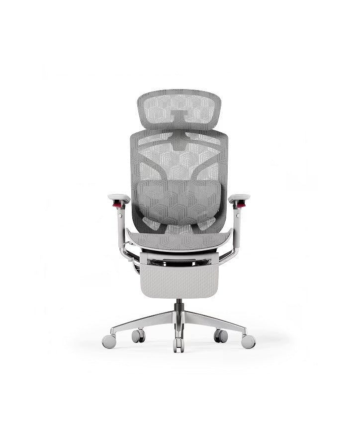 Ergonomic Office Chair Flexispot Apollo 4D Headrest Footrest Grey