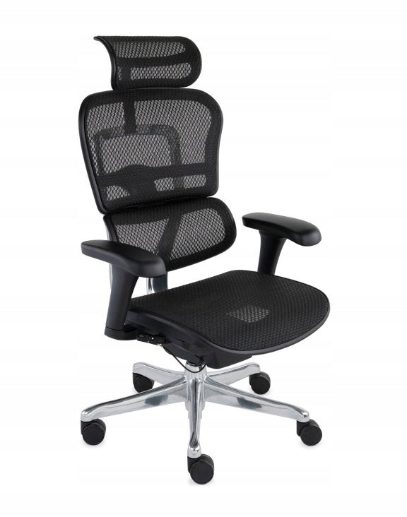 Ergonomic Office Chair Swivel Chair Ergohuman 2 Basic Mesh Black