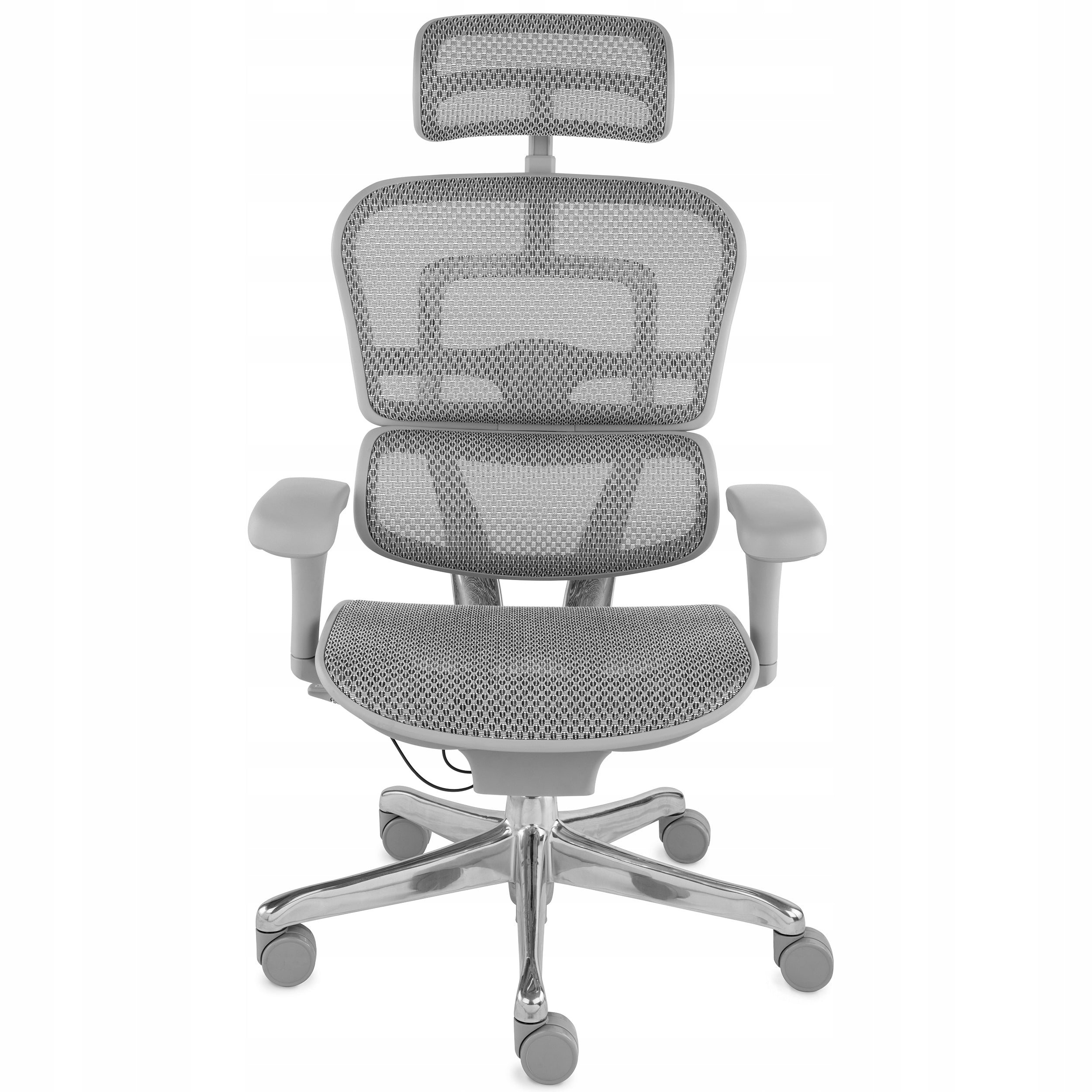 Ergonomic Office Chair Swivel Chair Ergohuman 2 Elite Mesh Grey Packaging status original