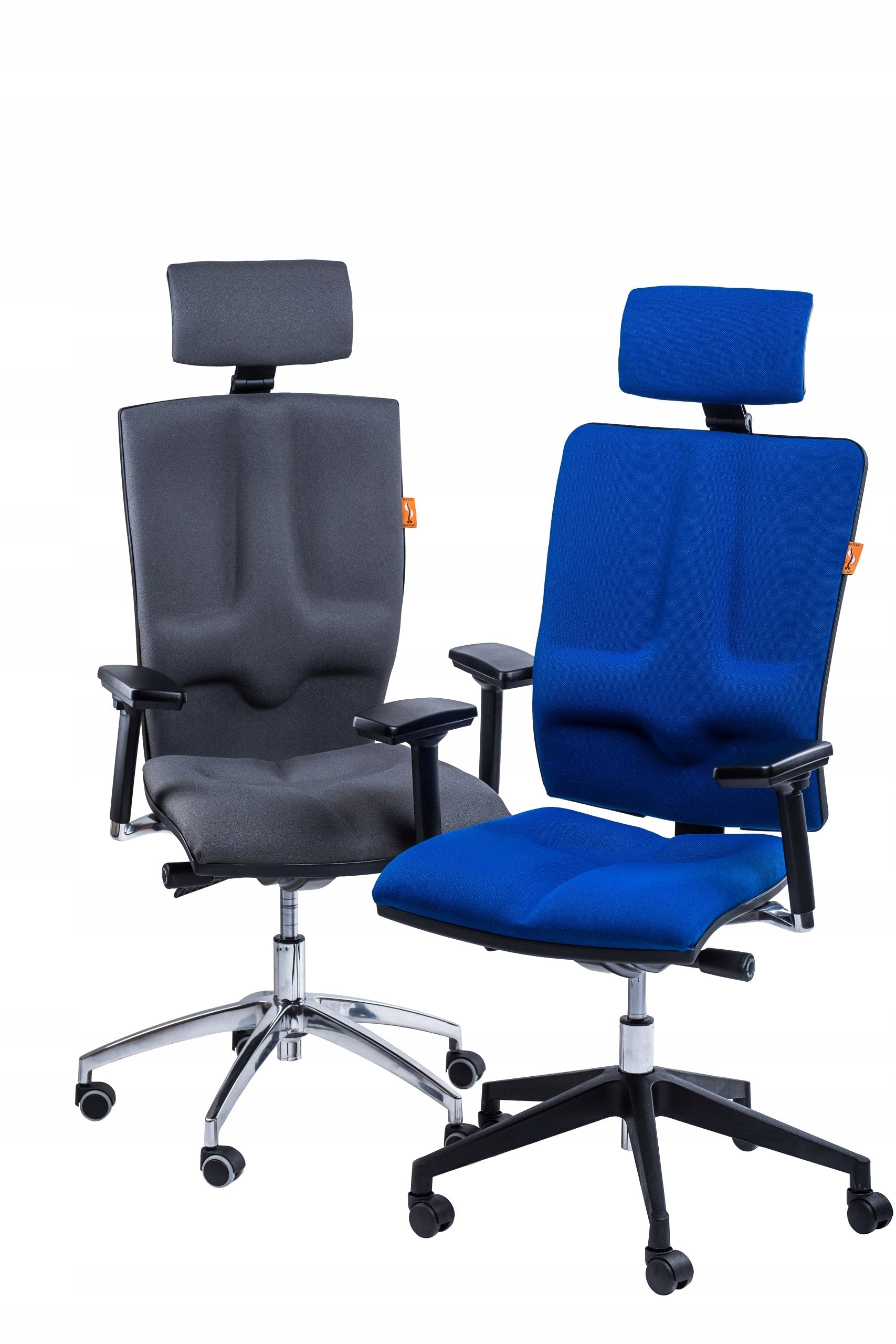 Ergonomic Rehabilitation Office Chair ELEGANCE Kulik System Body color multicolor
