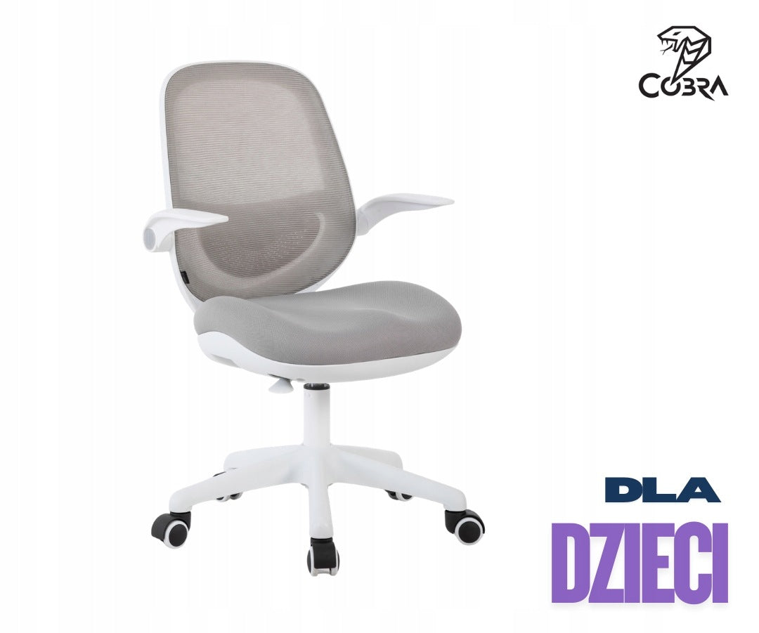 Ergonomic chair for children COBRA King Junior HF102GY grey for learning