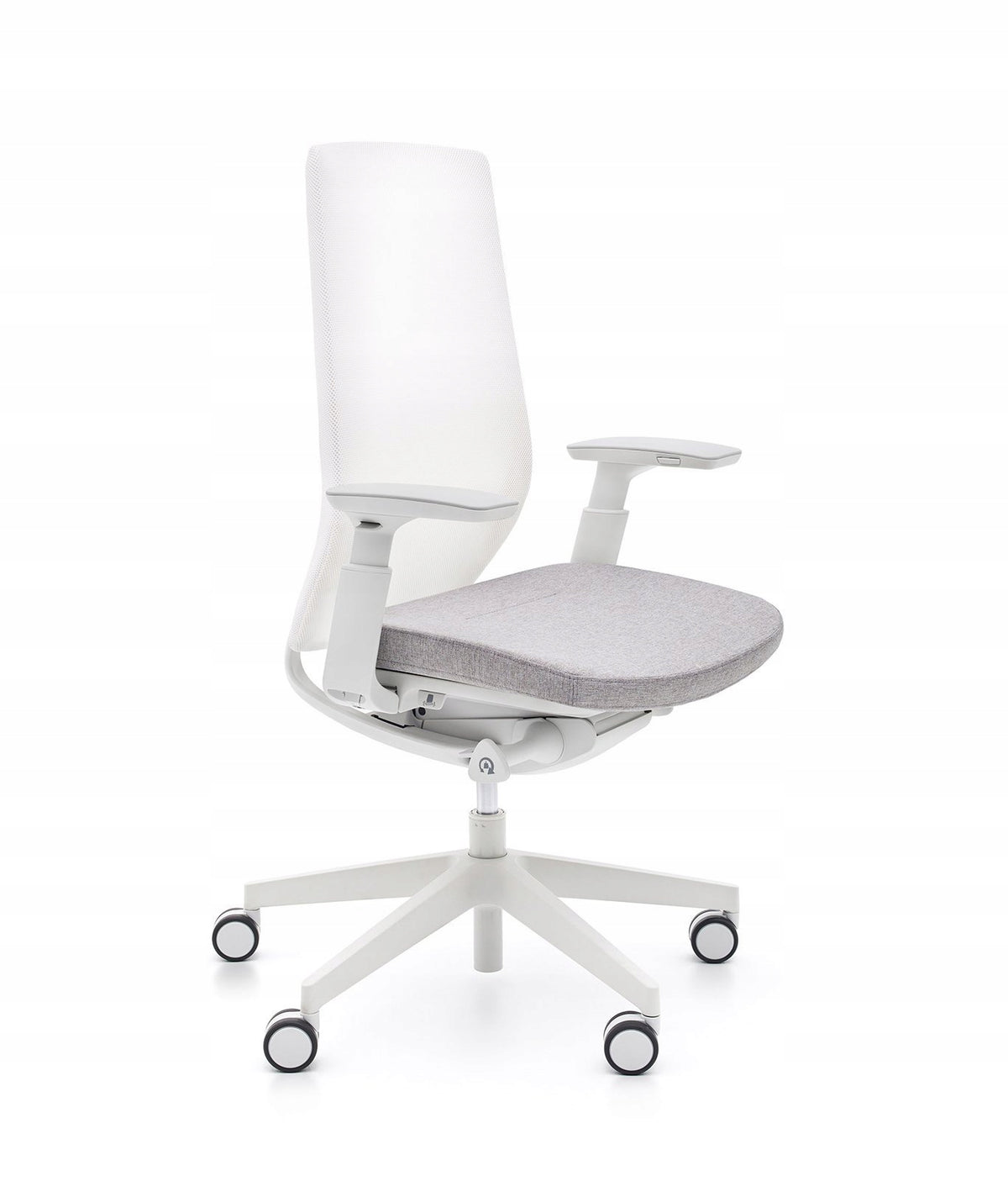 Ergonomic office chair AccisPro Profim