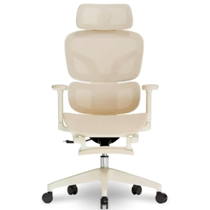 Ergonomic office chair BS5W-M2, mesh, apricot Brand Flexispot