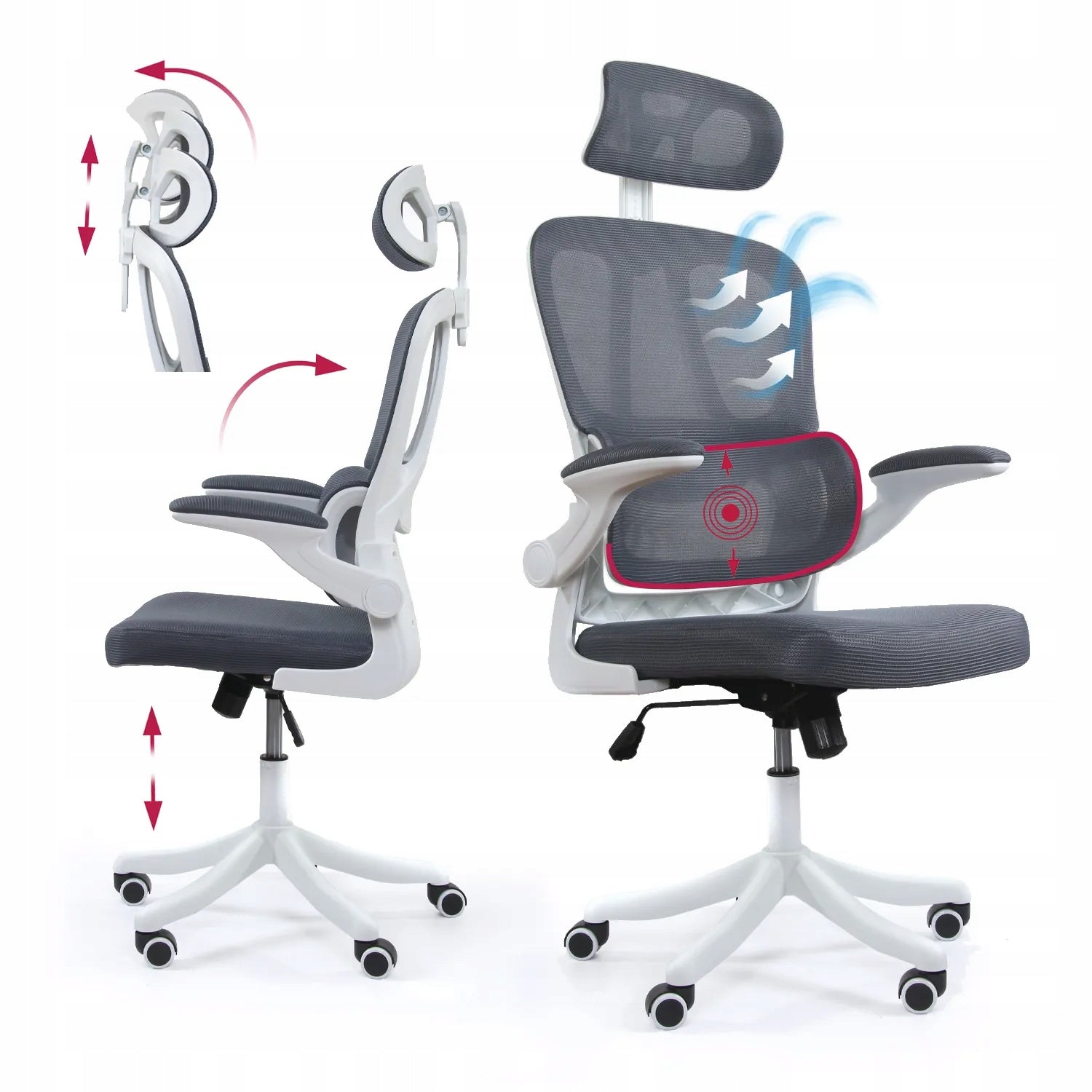 Ergonomic office chair DH8036WH lumbar support graphite