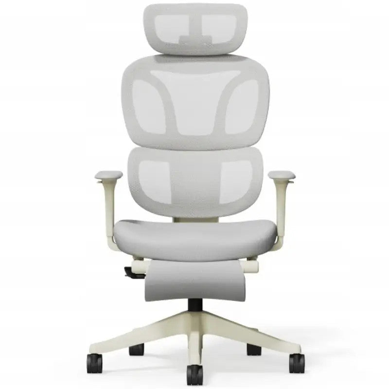 Ergonomic office chair with footrest BS5WG-F2, 2D headrest, gray Brand Flexispot