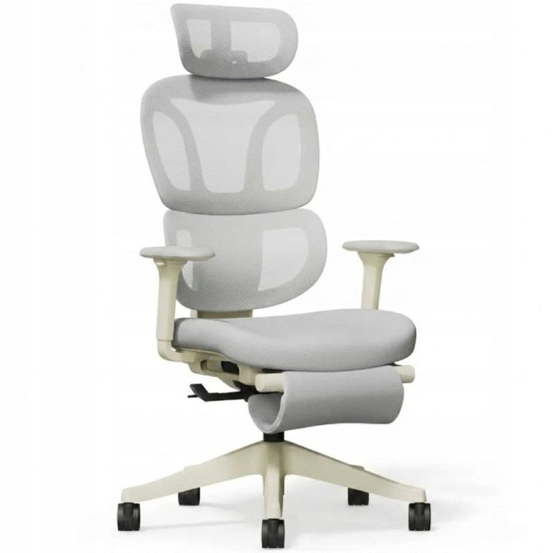 Ergonomic office chair with footrest BS5WG-F2, 2D headrest, gray