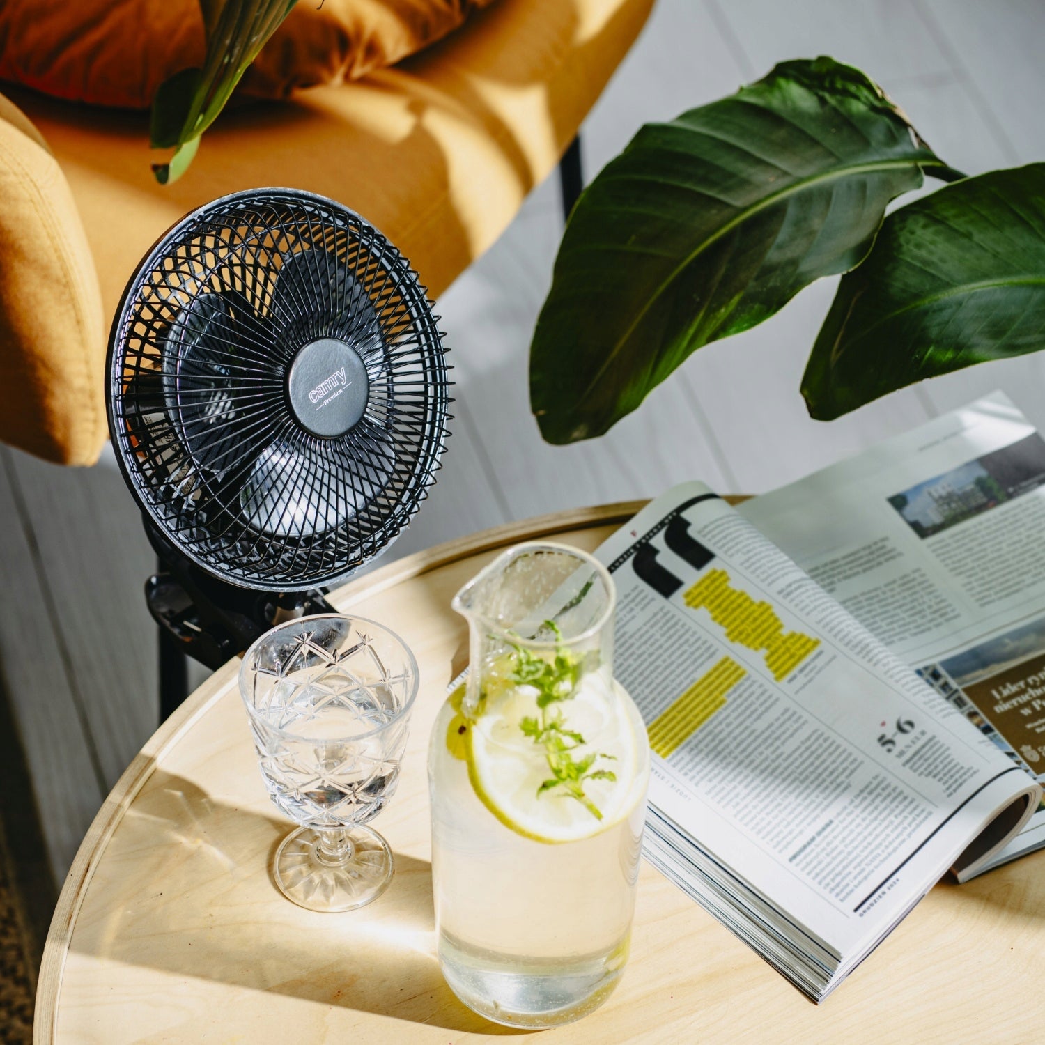 FAN DESK FAN CLIP 20CM 2 MODES WITH MOUNT 230V Fan type table