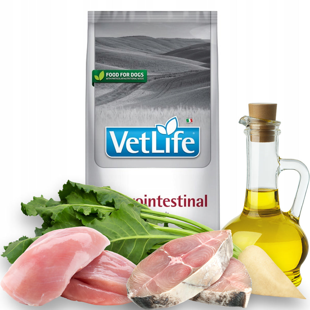 FARMINA Vet Life Gastrointestinal 12kg for gastrointestinal failure Packaging status original