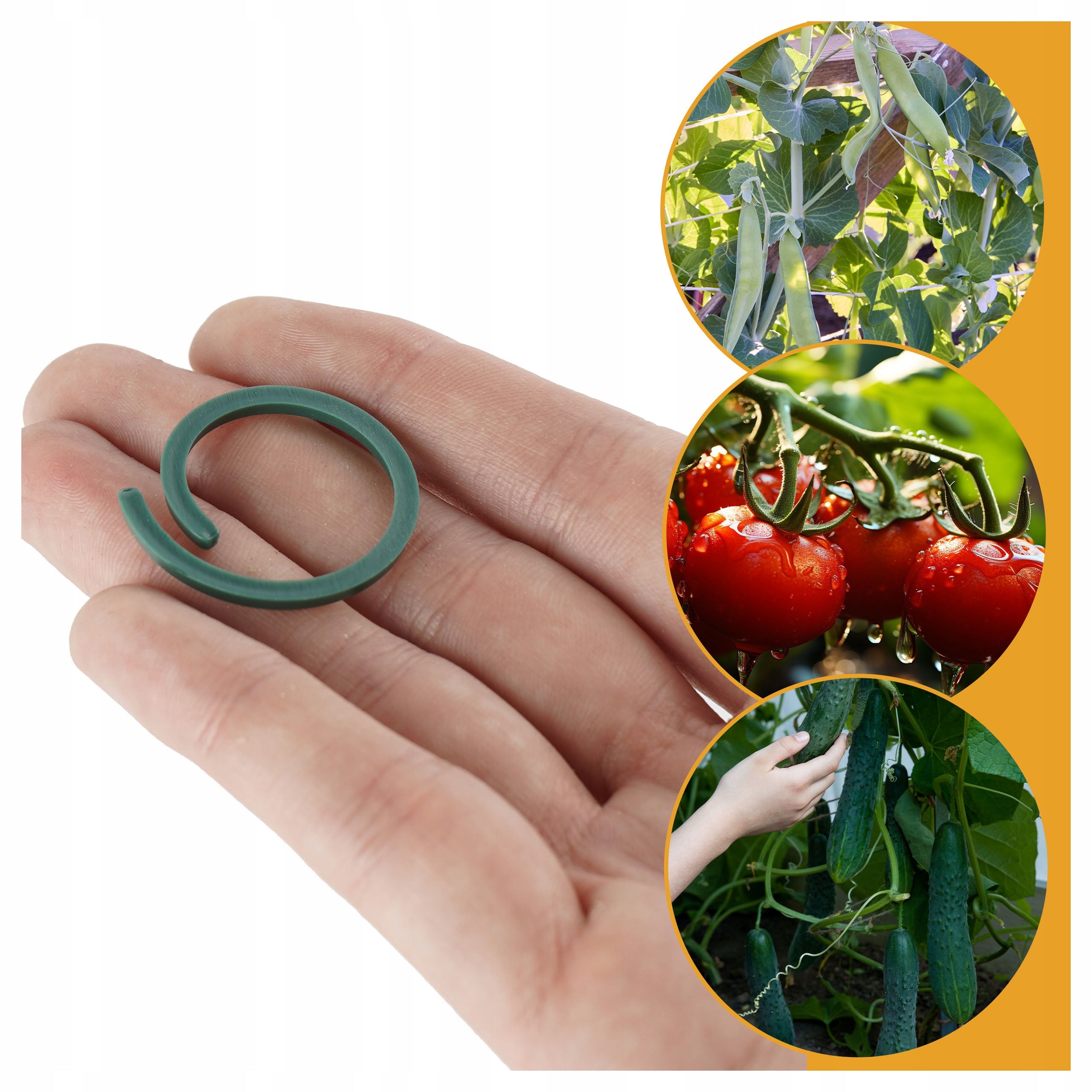 FASTENERS FOR FIXING TOMATO PLANTS STEMS OF PEDES ON POLES 50 PCS ROUND Brand Begris