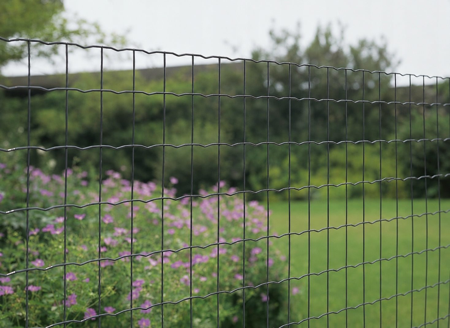 FENCE MESH 100 cm COATED 1 m WELDED 20 m anthracite eye10x10 Manufacturer code SIATKA ZGRZEWANA 100x100mm 1,0m 20 m antracyt