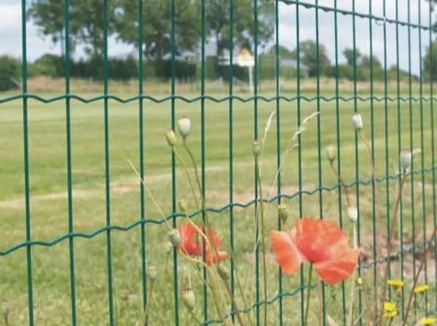 FENCE MESH 150 cm COATED 1,5 m WELDED 20 m green eye10x10 Kind mesh fence