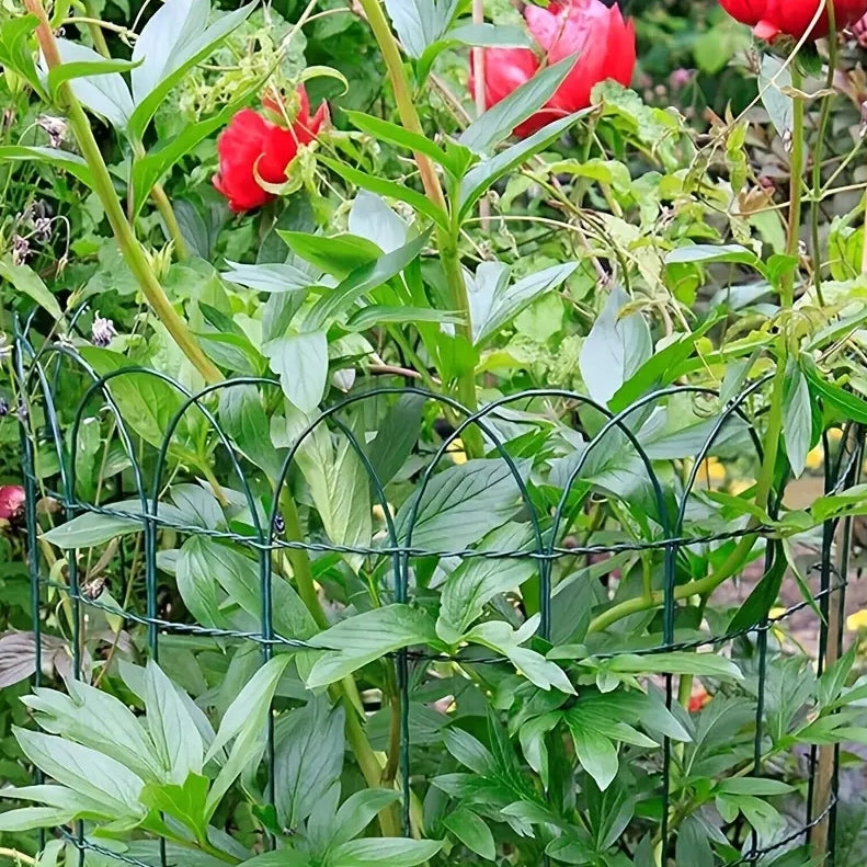 FENCE MESH DISCOUNT 65 cm PVC COATED 0.6 m roll 10 mb anthracite Height 0.65 m