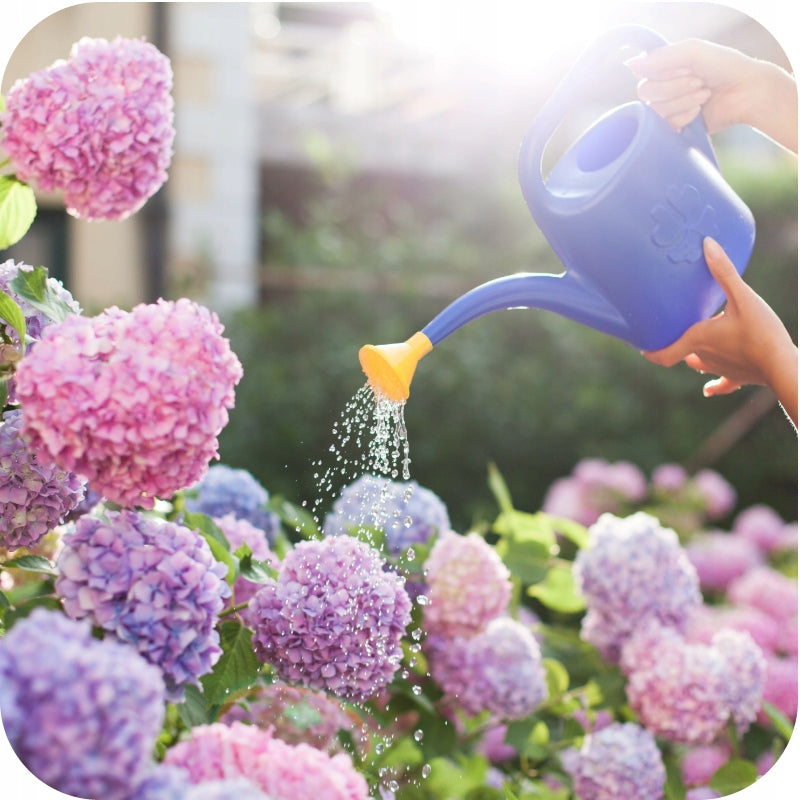 FERTILIZER FOR ACID-LOVING 10KG PLANTS ACIDIFYING GRANULATED GARDEN Siarkopol Manufacturer code pod borówki azalie i rododendrony