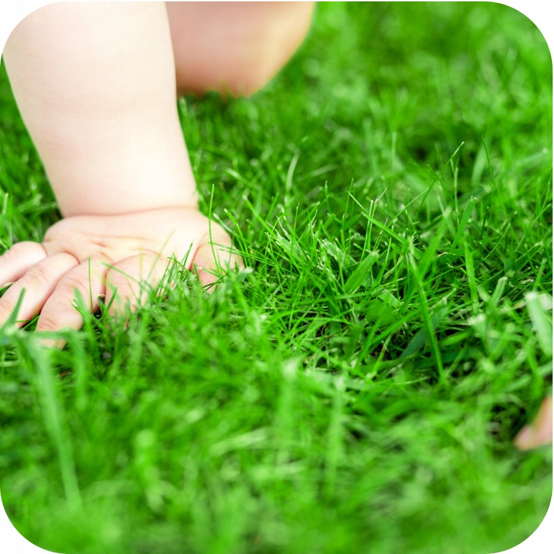 FERTILIZER FOR GRASS 4KG FLOROVIT ANTIMECH for grass lawns for moss Volume 1 l
