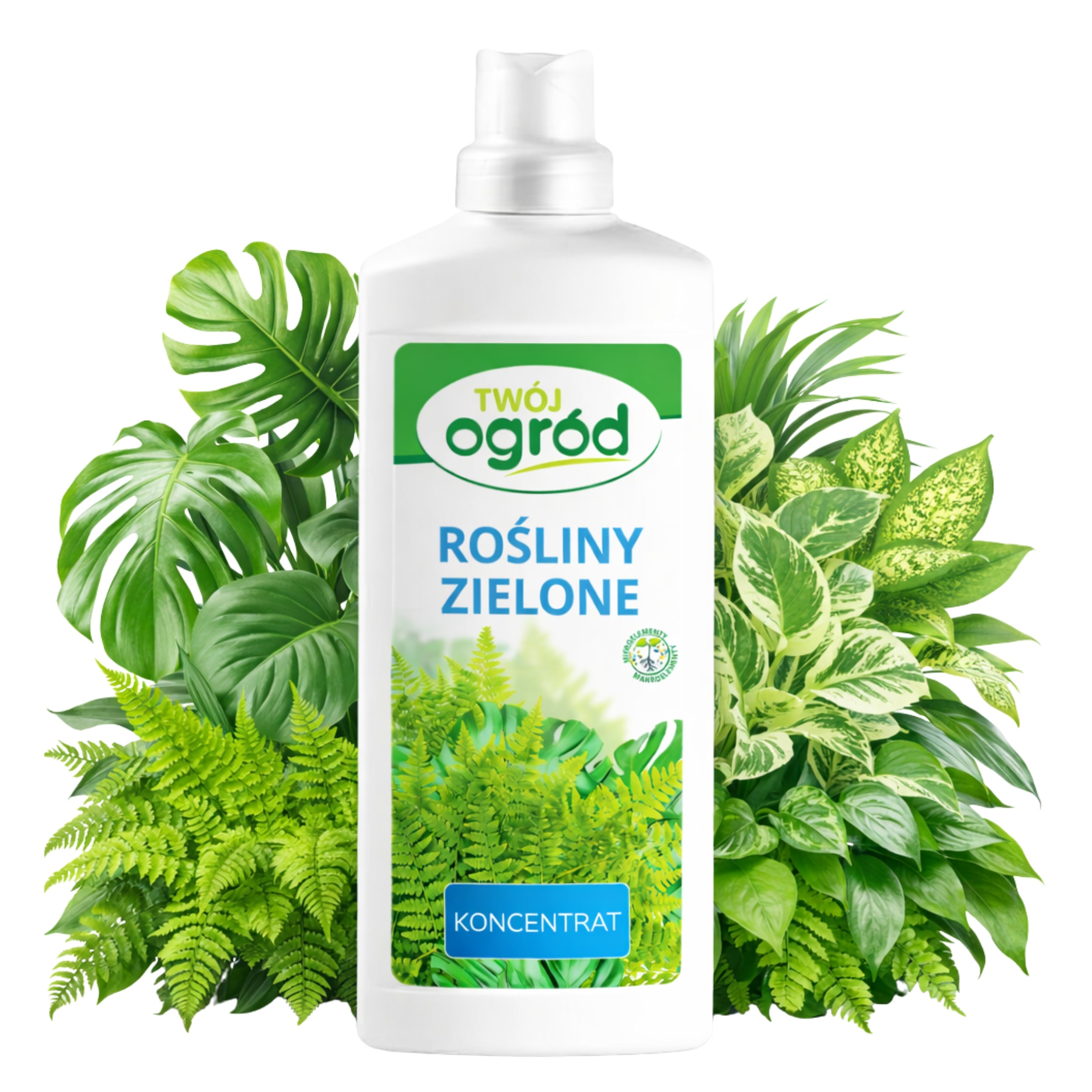 FERTILIZER OF GREEN PLANTS Monstery Zamiokulkasa Fikusa Fern LIQUID 500ml