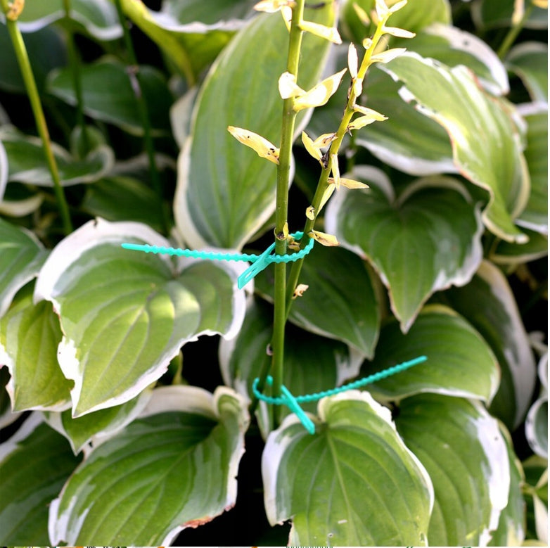 FLAT GARDEN BANDS FOR FASTENING PLANTS BRANCHES GREEN 17cm 100pcs Manufacturer code 5905247736482