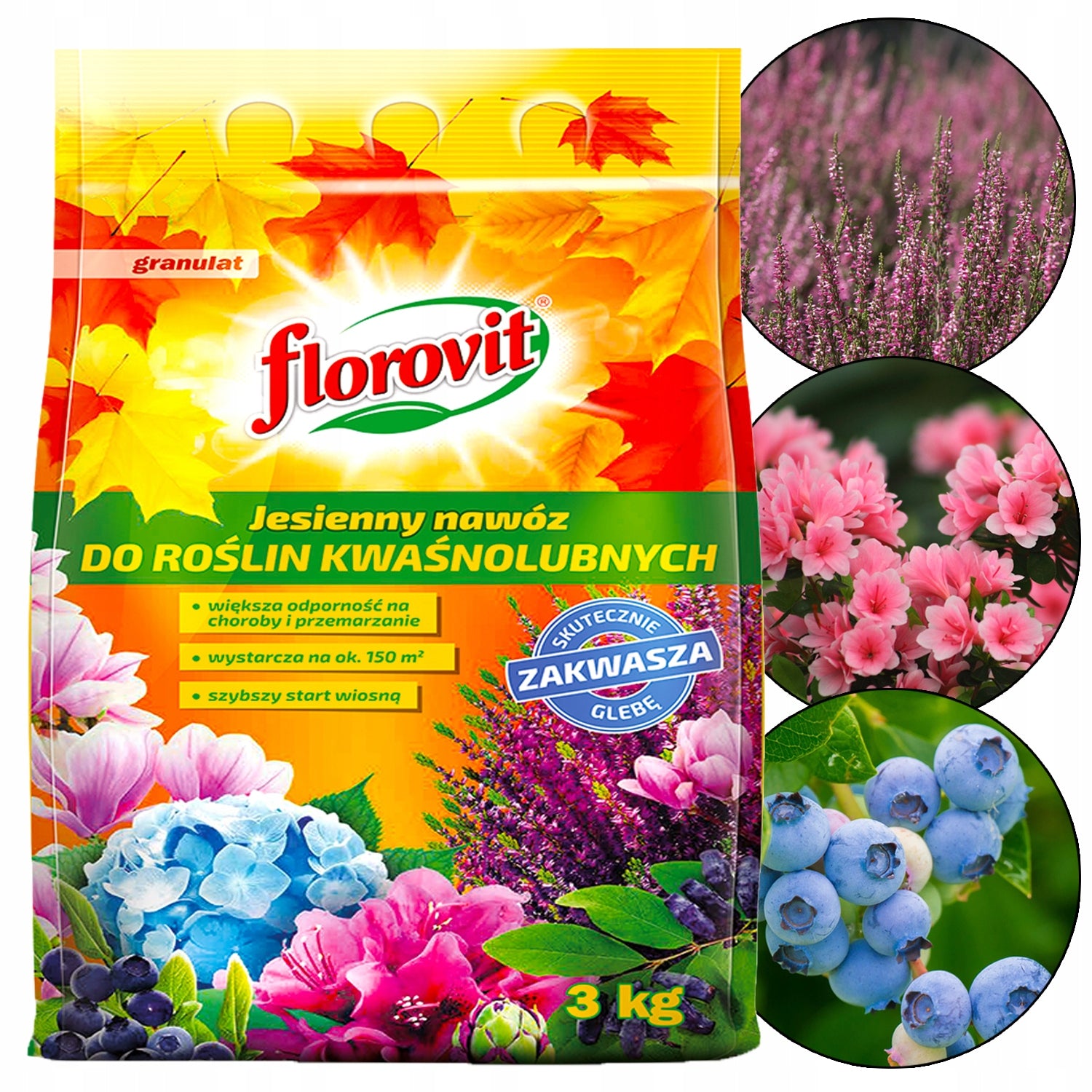FLOROVIT AUTUMN FERTILIZER FOR BLUEBERRY AZALEAS SOUR-LOVING HEATHER 3KG