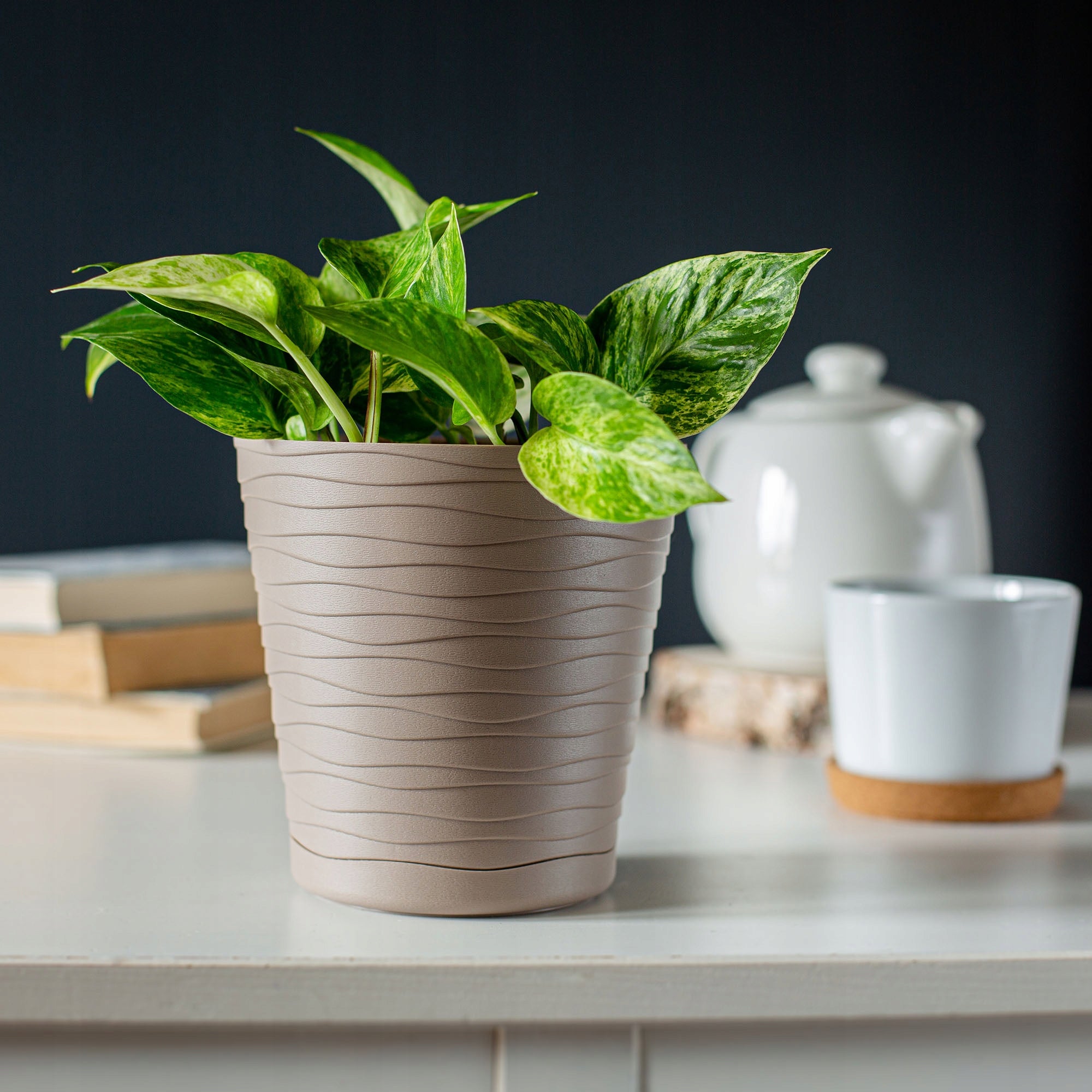 FLOWER POT 15 cm COVER WITH STAND PLASTIC FLOWER STAND Brand Kadax