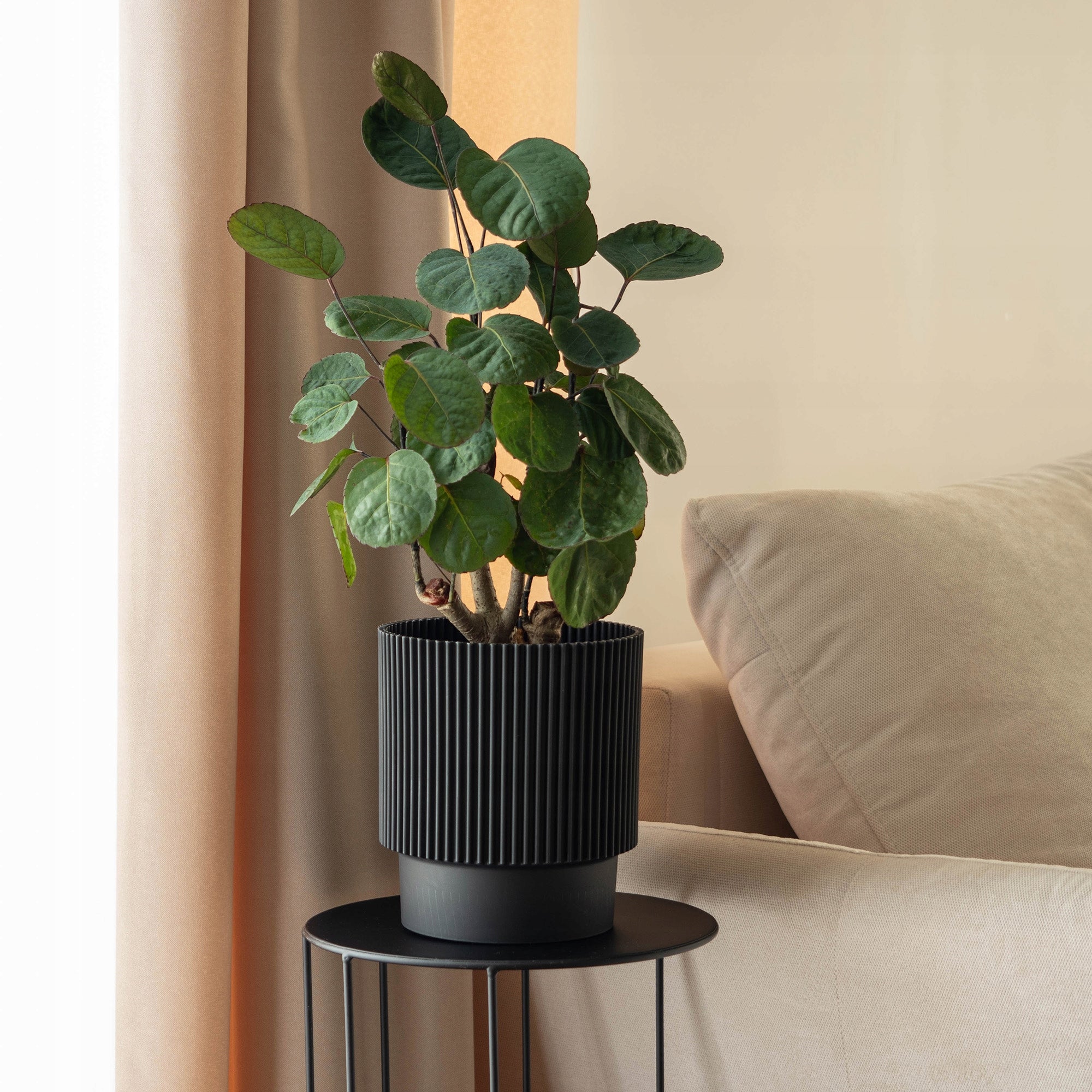 FLOWER POT 15cm PLANT COVER FLOWERBED PLASTIC BLACK Packaging status original