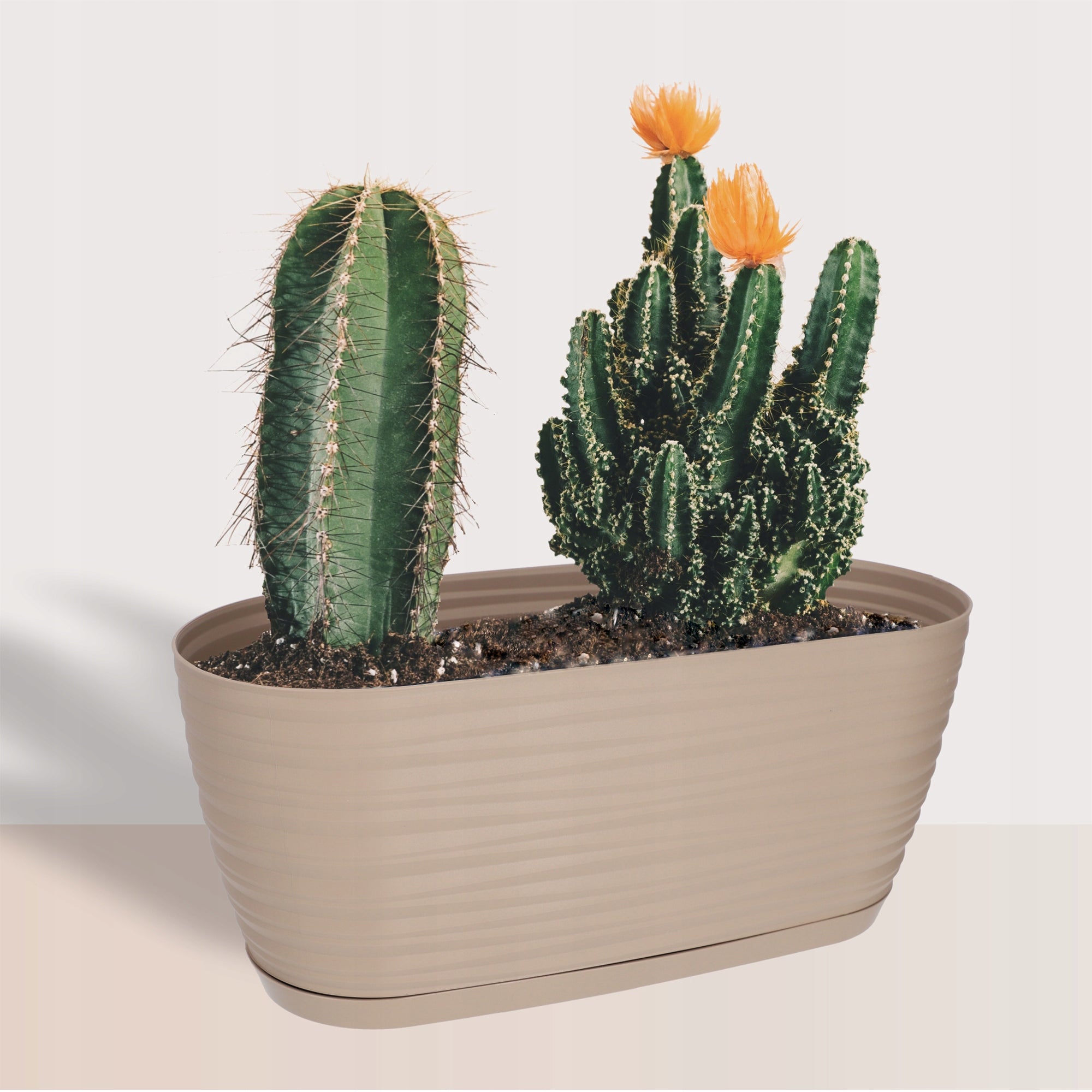FLOWER POT 27cm OVAL COVER PLASTIC FLOWER STAND BEIGE Product height 12 cm