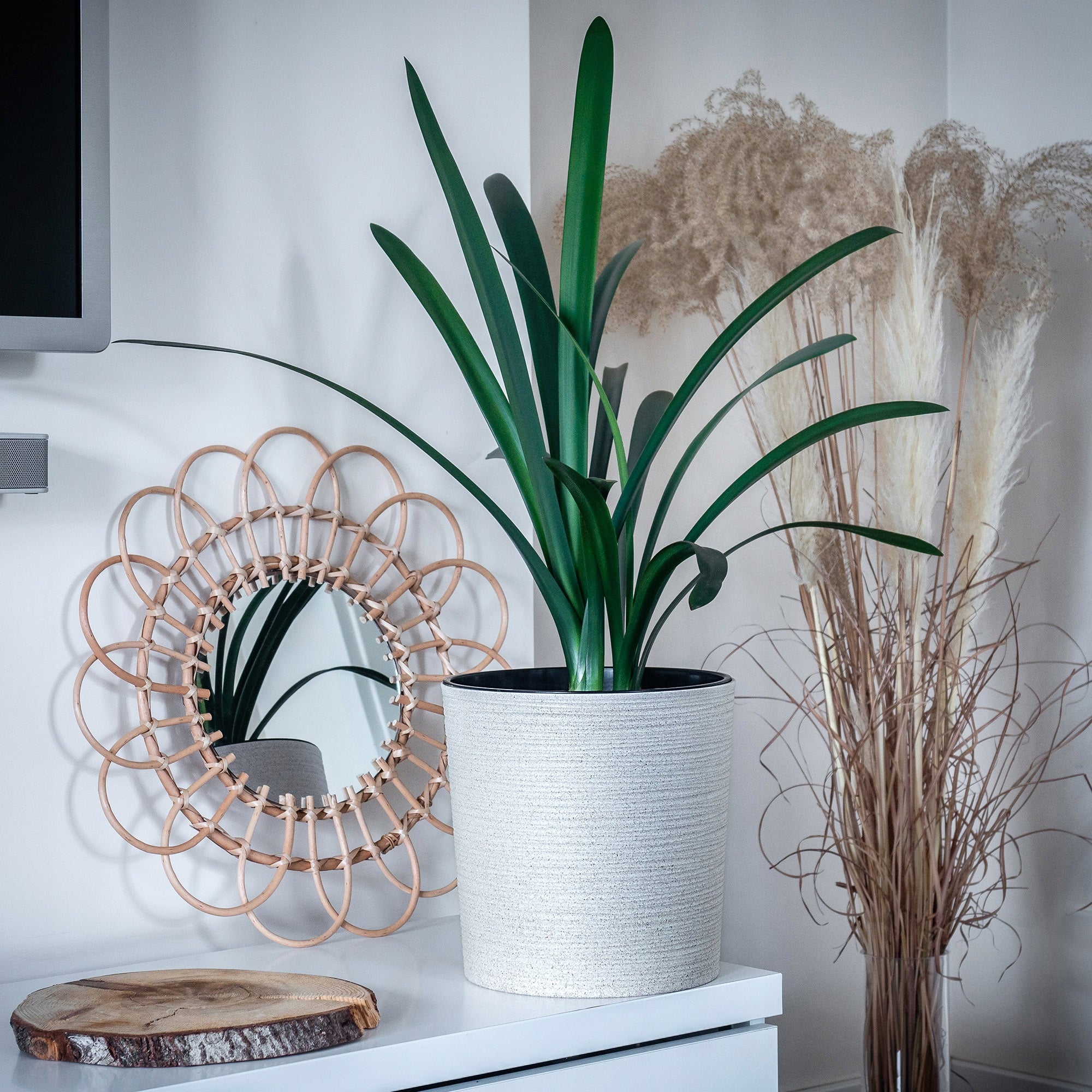 FLOWER POT FLOWER COVER FLOWERBED 25 cm FOR LIVING ROOM BEIGE + CARTRIDGE Packaging status original