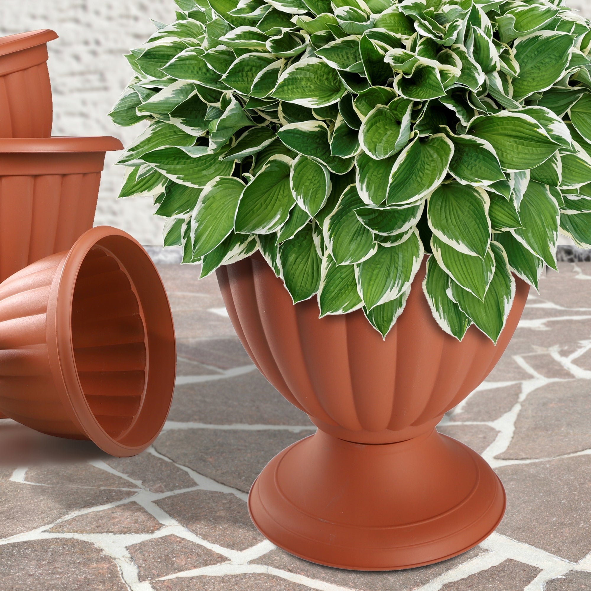 FLOWER POT GARDEN GAZON 23 cm COVER FLOWERBED TERRACE GARDEN TERRACOTTA Brand Kadax