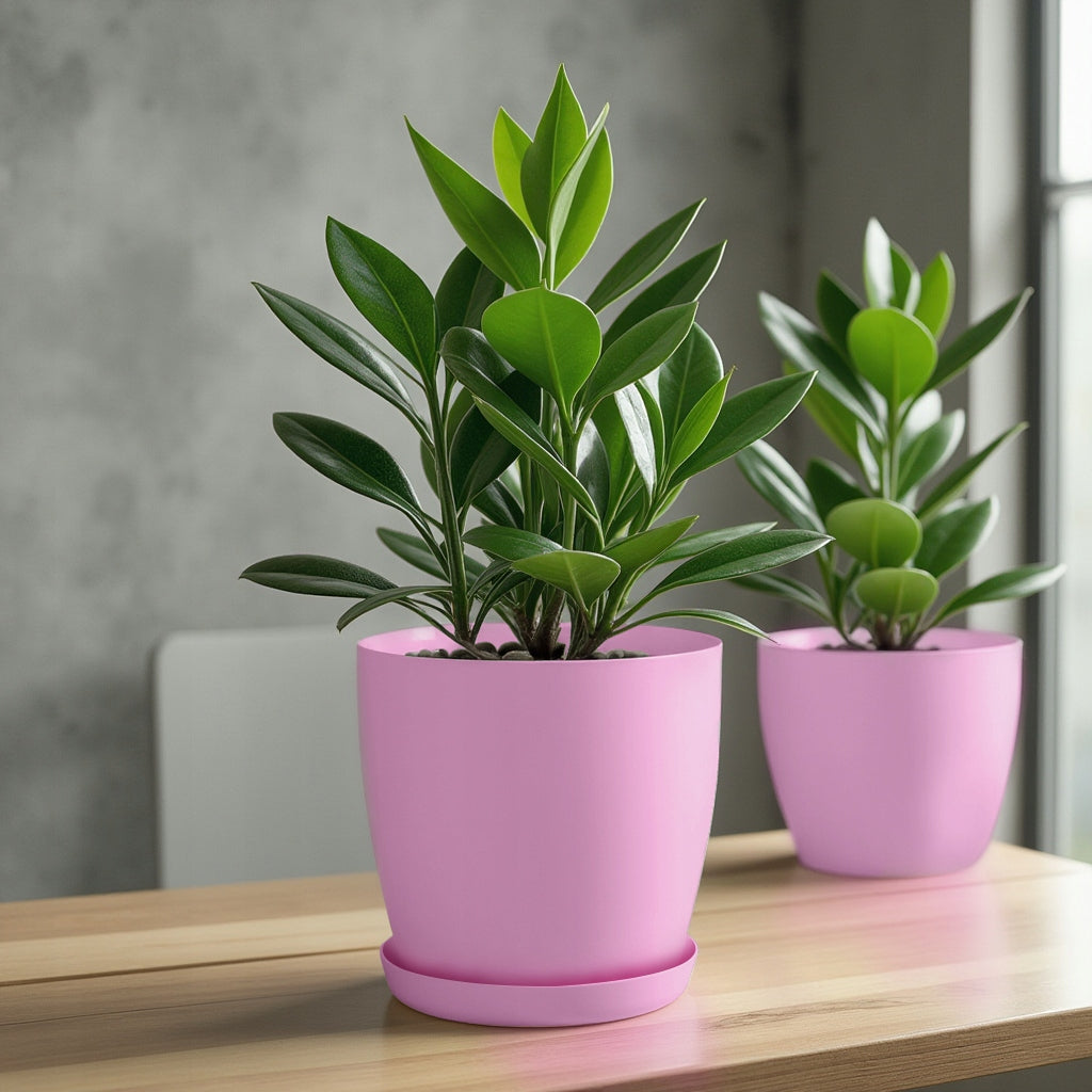 FLOWER POT PLANTER 20cm FOR FLOWERS WITH STAND PINK FOR LIVING ROOM Brand Kadax