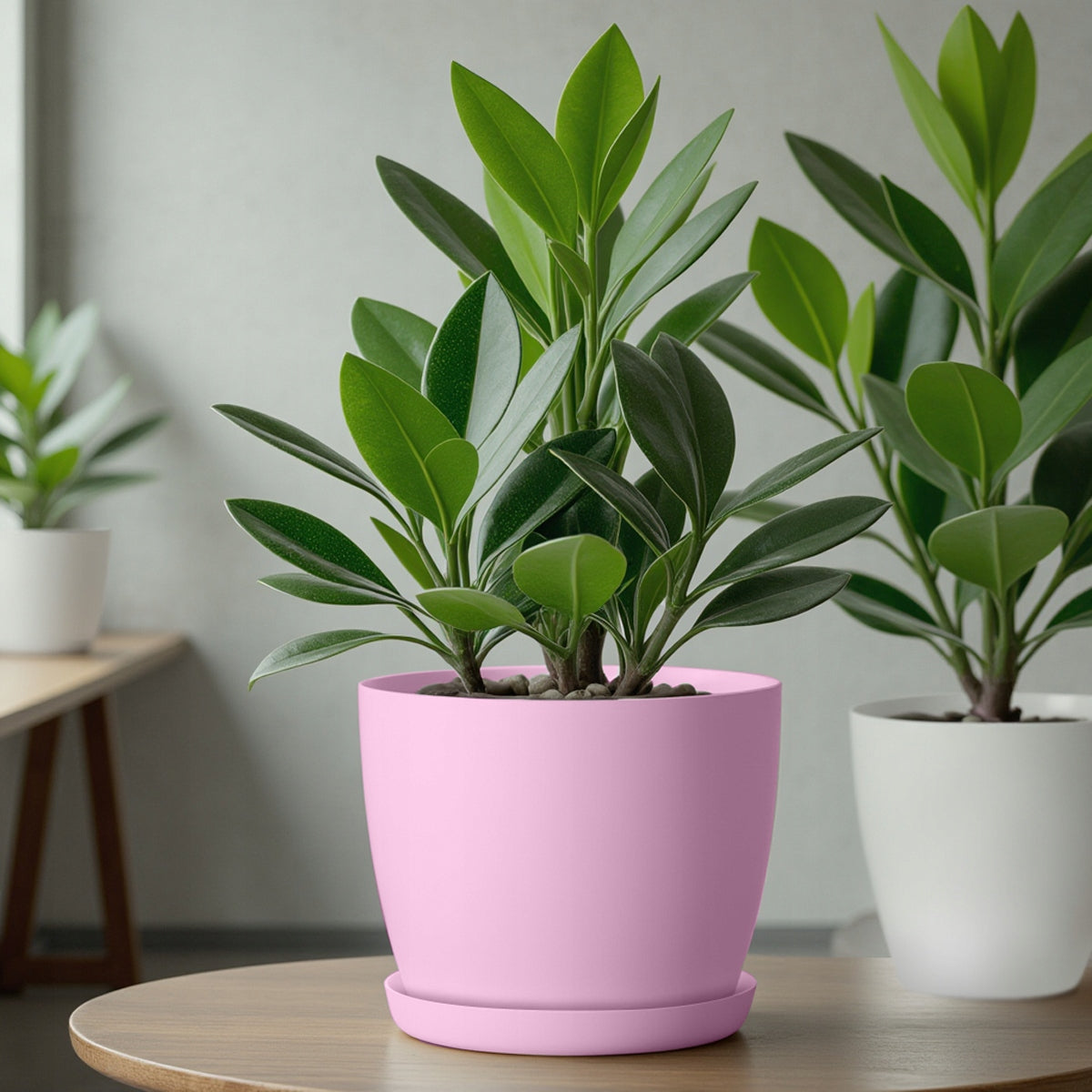 FLOWER POT PLANTER 20cm FOR FLOWERS WITH STAND PINK FOR LIVING ROOM Material synthetic material