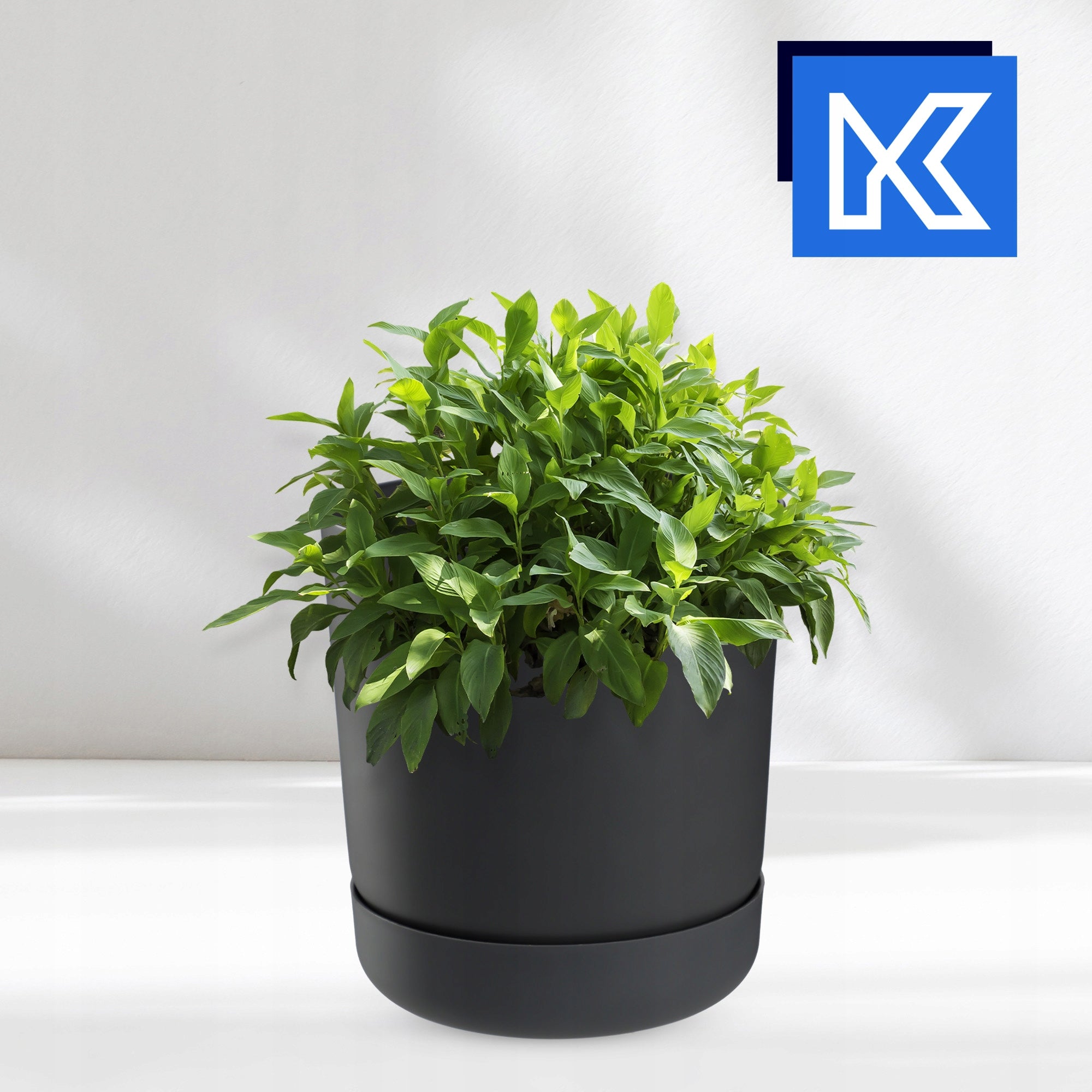 FLOWER POT WITH FLOWER STAND COVER ROUND BOWL 25 cm ANTHRACITE Packaging status original