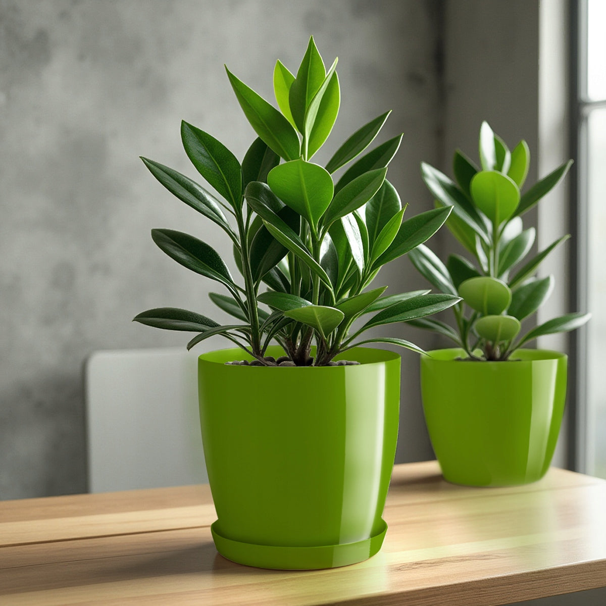 FLOWER POT WITH STAND PLASTIC COVER FLOWER POT 16cm GREEN FOR FLOWERS KADAX Brand Kadax