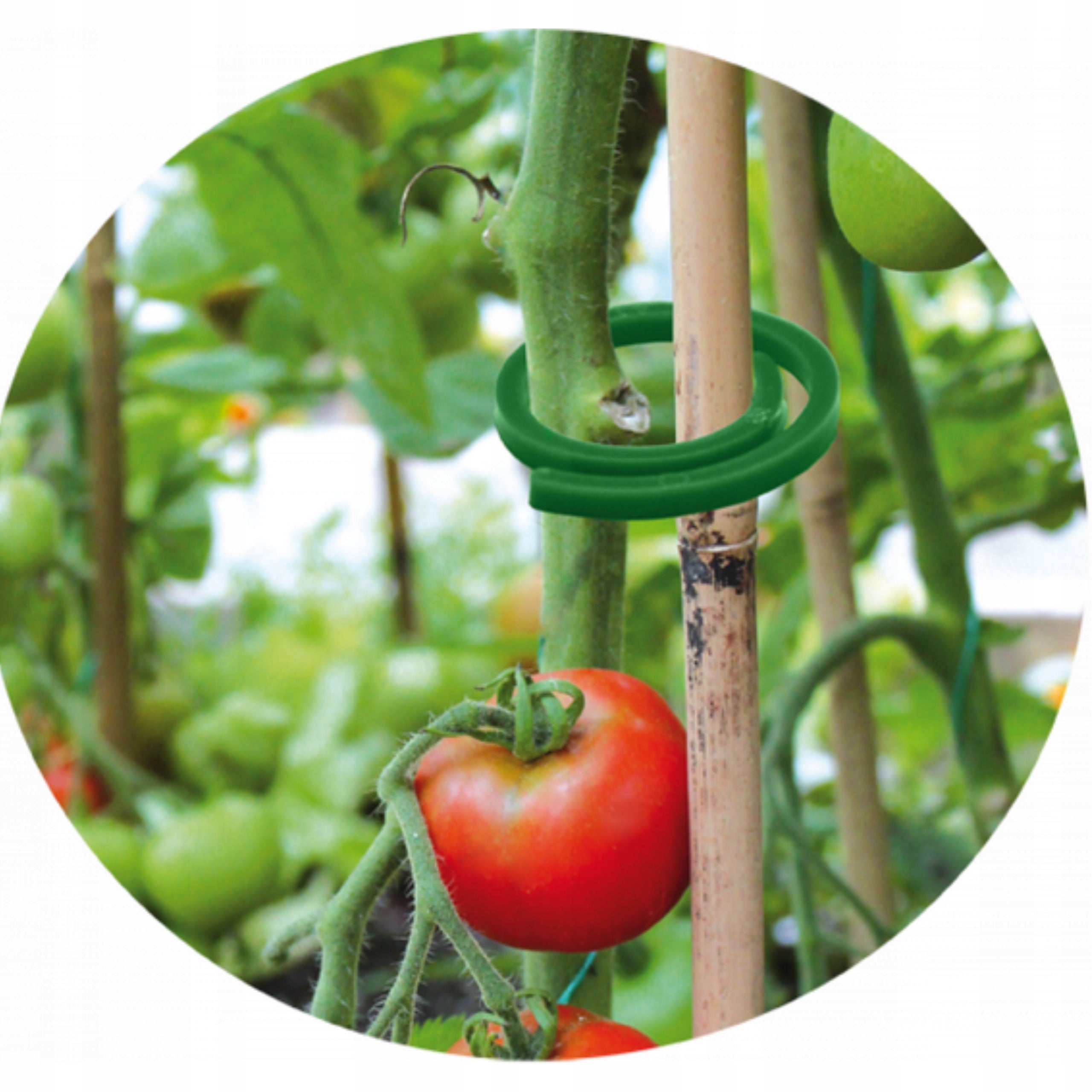 FLOWER TOMATO CLASPS STRONG DURABLE GARDEN CLIP Brand no brand