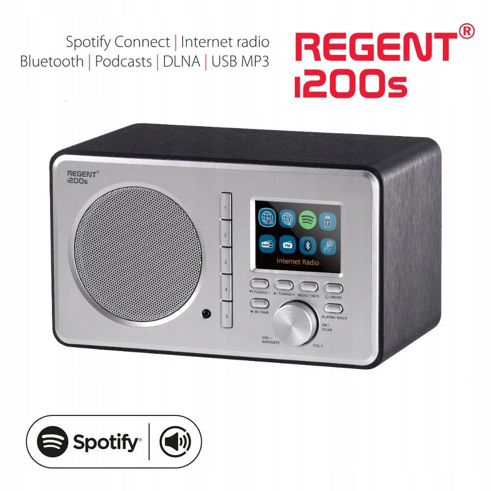 FM/DAB+/Internet radio Ferguson REGENT with SPOTIFY Connect i200s, grey