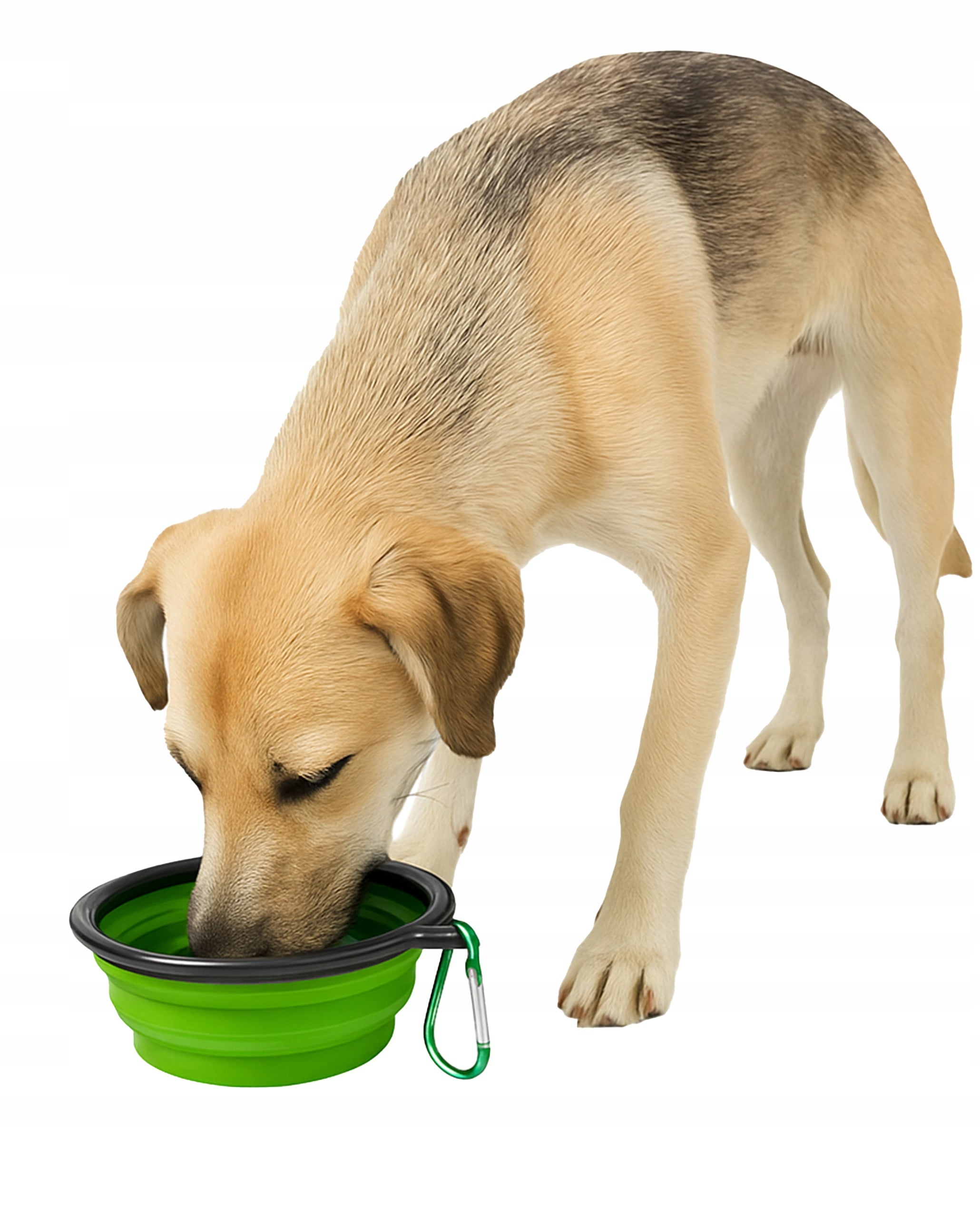 FOLDING BOWL FOR DOG CAT Travel for Water Food Fazoo 350ml Trade name Pojemna Miska Składana Turystyczna dla Psa Kota Zwierząt Pojemna 350ml Duża Mocna Fazoo