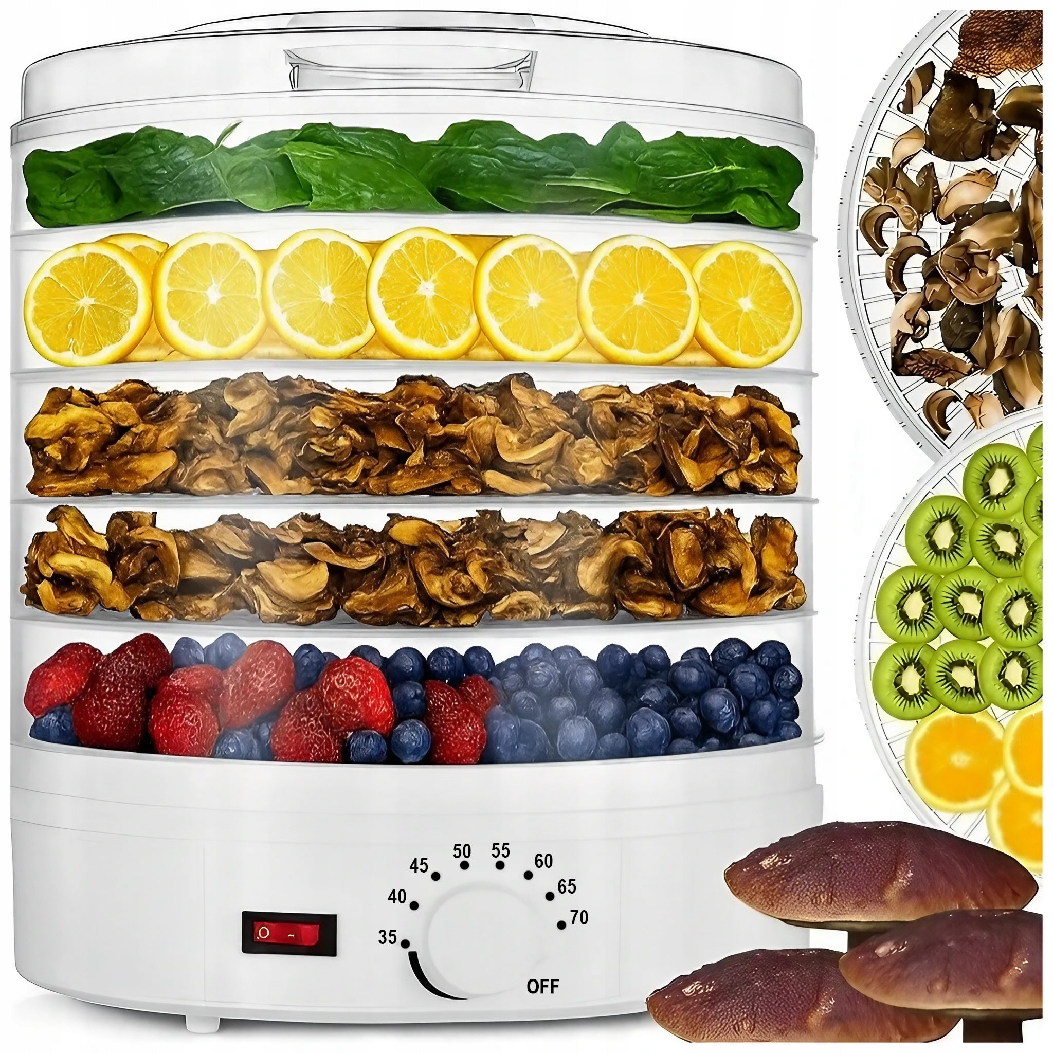 FOOD DRYER FOR VEGETABLE FRUIT MUSHROOMS ADJUSTABLE 5 LEVELS 500W LARGE