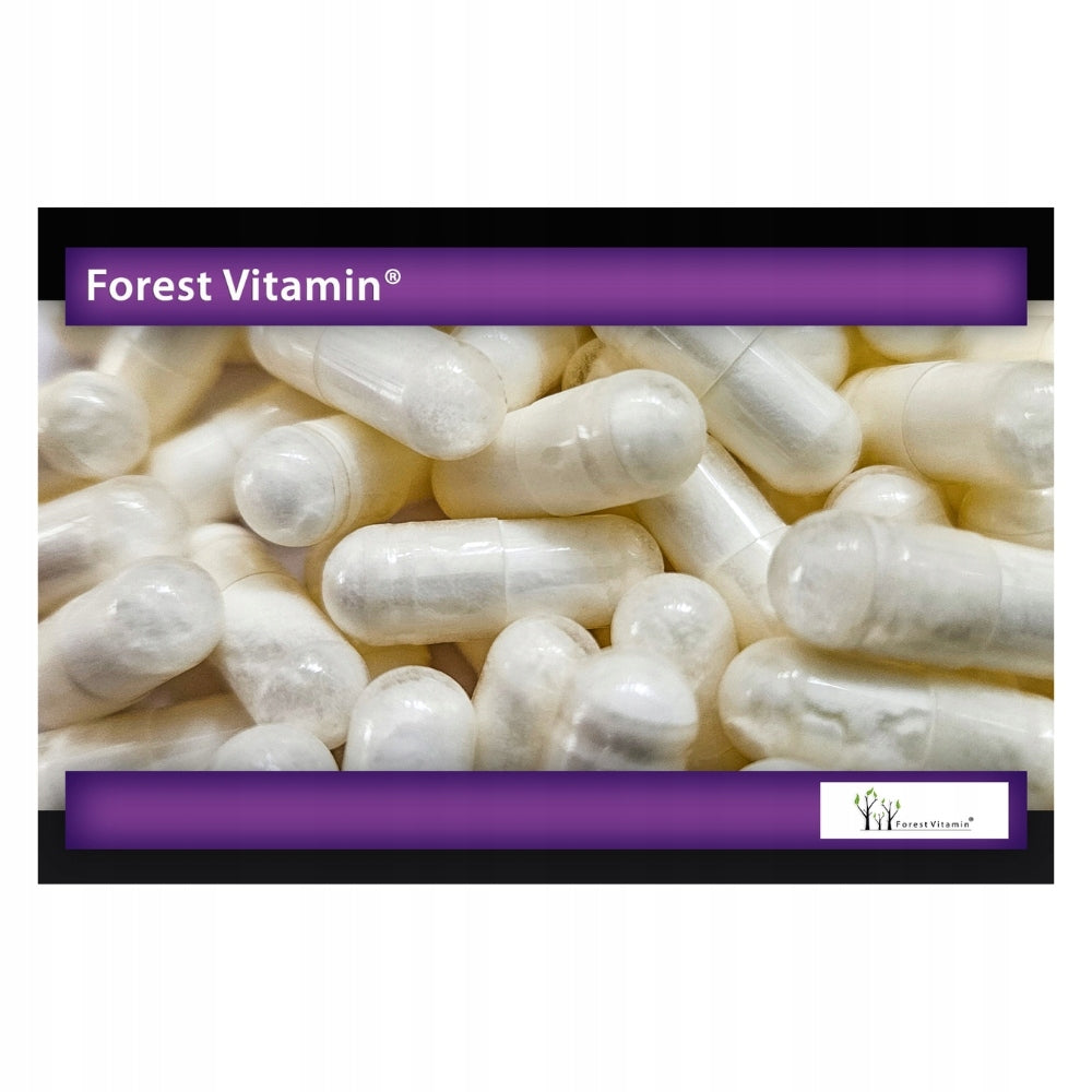 FOREST VITAMIN MAGNESIUM CITRATE 600 mg + B6 P-5-P 100 kaps HEART FATIGUE Brand Forest Vitamin