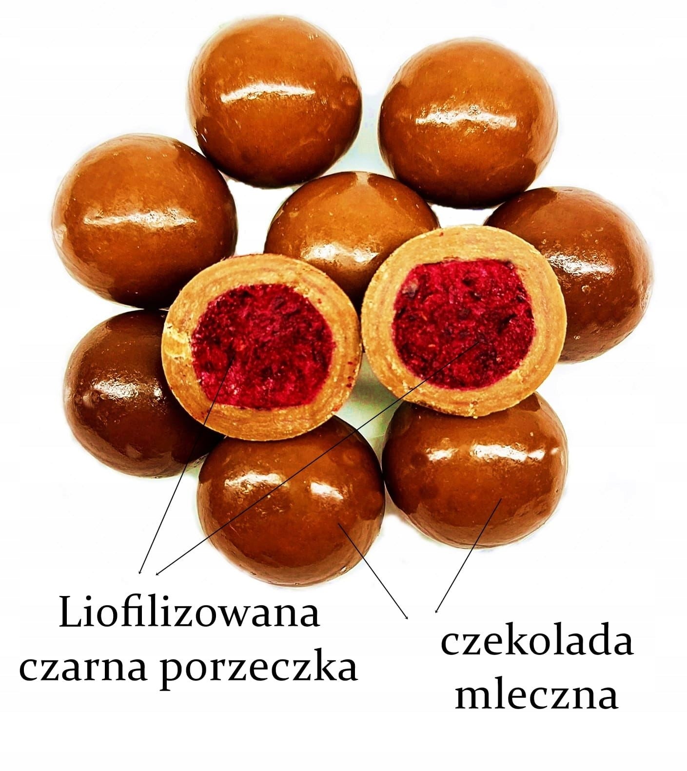 FORMELO FREEZE-DRIED BLACKCURRANT IN MILK CHOCOLATE 100% NAT 100g Manufacturer code FR 3469