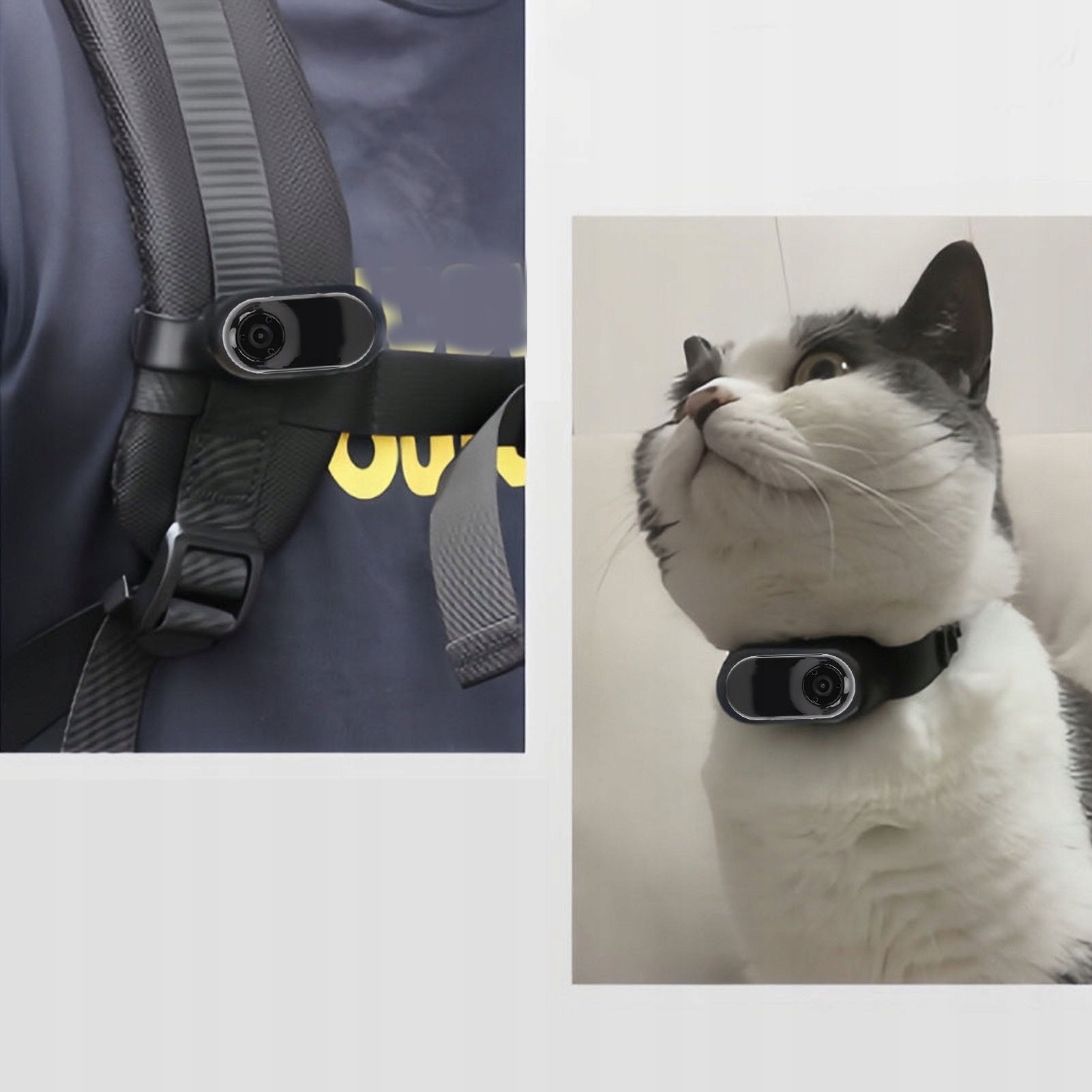 FULL HD 1080P PET COLLAR CAMERA FOR DOGS AND CATS COMPACT Brand no brand
