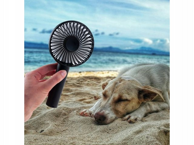 Fan WINDMILL mini HANDHELD TRAVEL USB STAND AKU 3speeds to Egypt Power supply USB