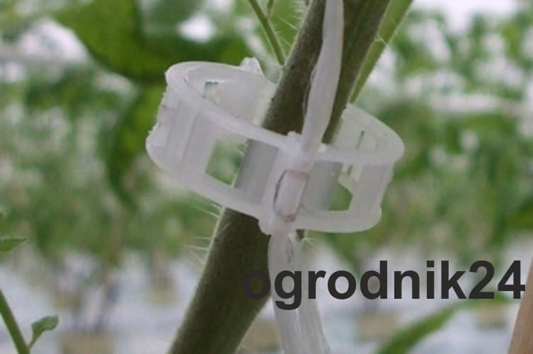 Fasteners clips for attaching tomato stems to string 50pcs Brand Florada