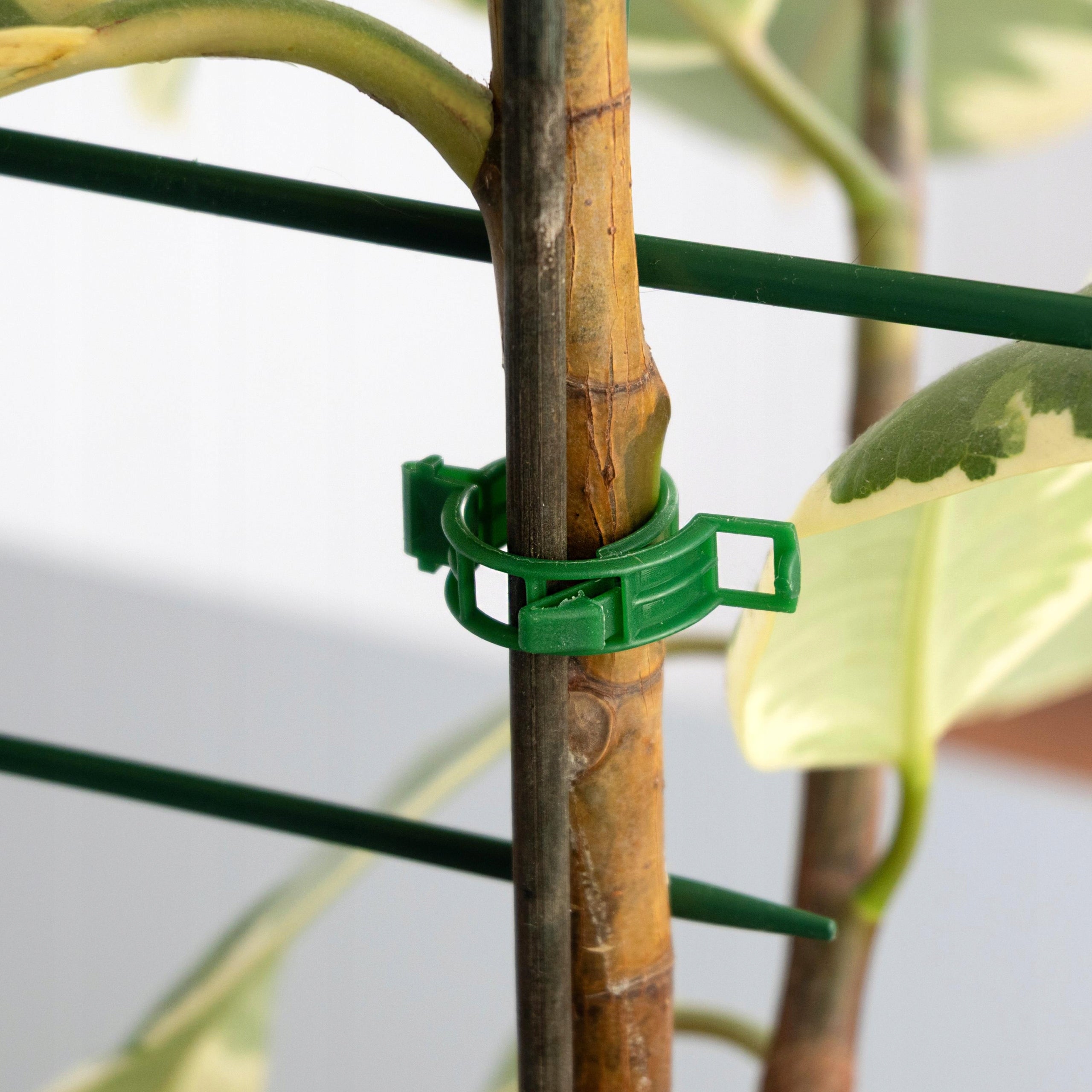 Fasteners plant clips 22 mm strong handles for tomato stems 200 pcs. Brand Sillar
